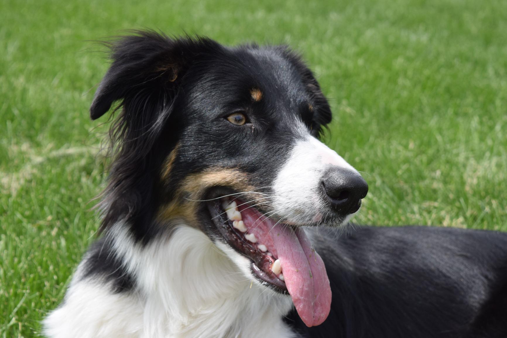 Nikon D3300 24.2 MP CMOS Digital SLR with Auto Focus-S DX Nikkor 18-55mm f/3.5-5.6G VR II Zoom Lens (Black) - Customer Photo 2