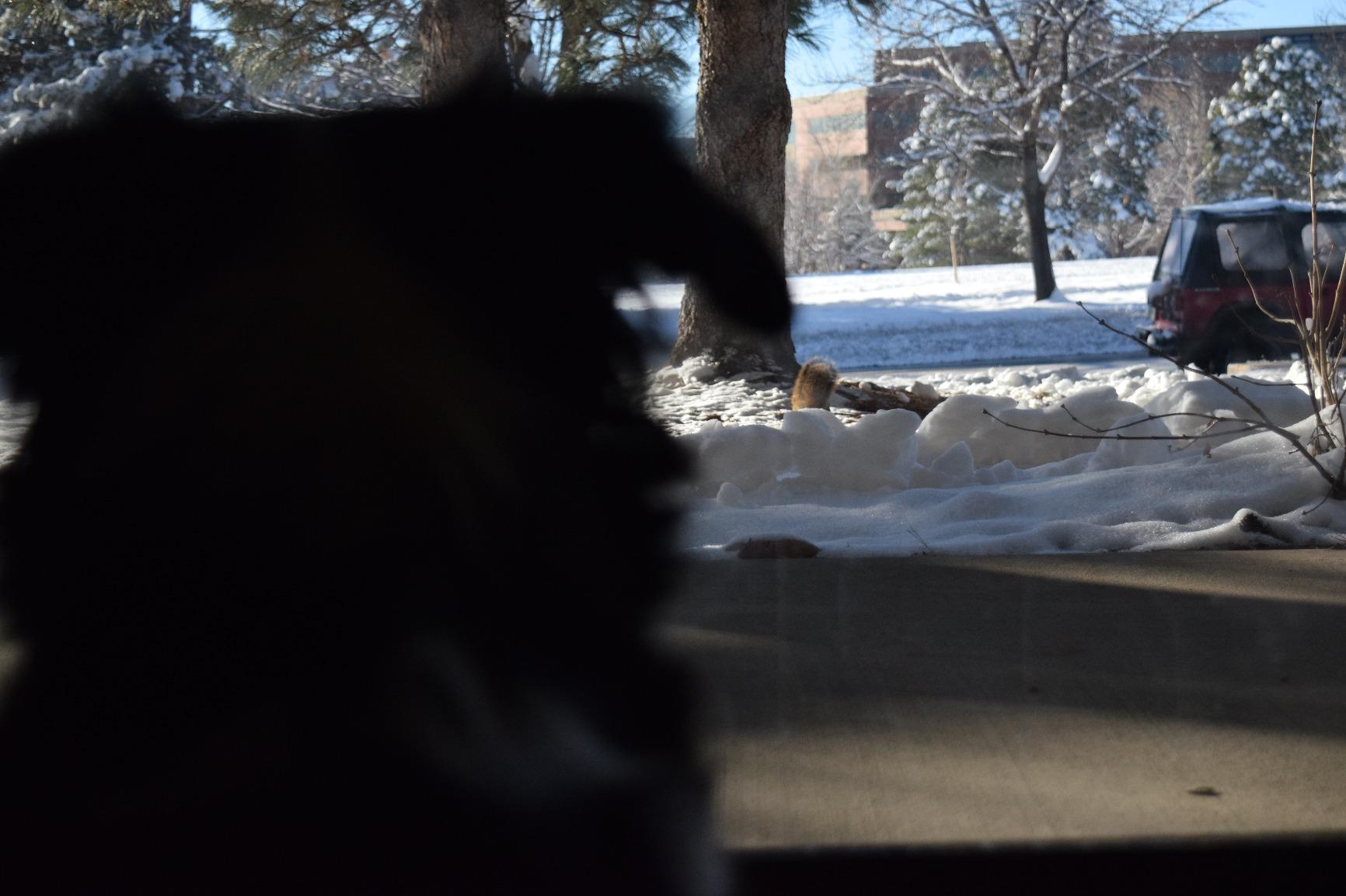 Nikon D3300 24.2 MP CMOS Digital SLR with Auto Focus-S DX Nikkor 18-55mm f/3.5-5.6G VR II Zoom Lens (Black) - Customer Photo 5