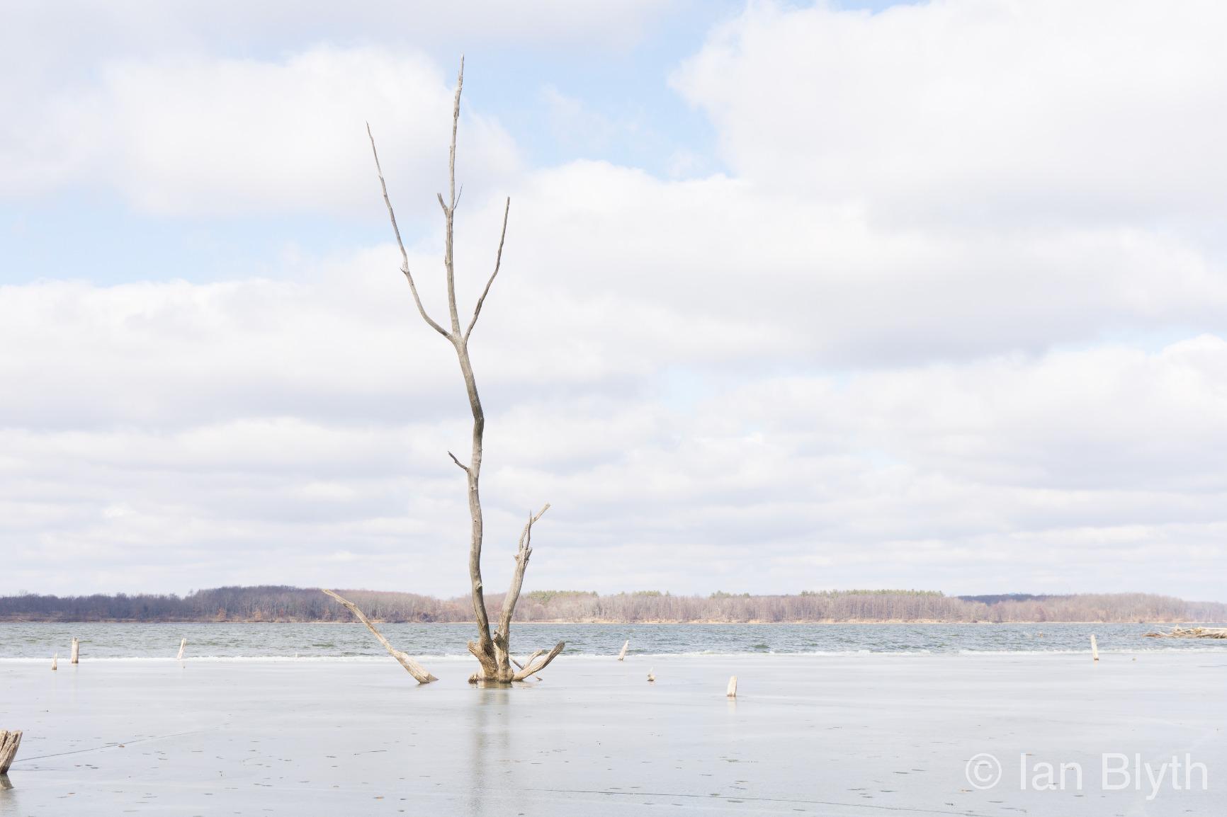 Sony Alpha a6000 Mirrorless Digital Camera 24.3MP SLR Camera with 3.0-Inch LCD (Black) w/16-50mm Power Zoom Lens - Customer Photo 3