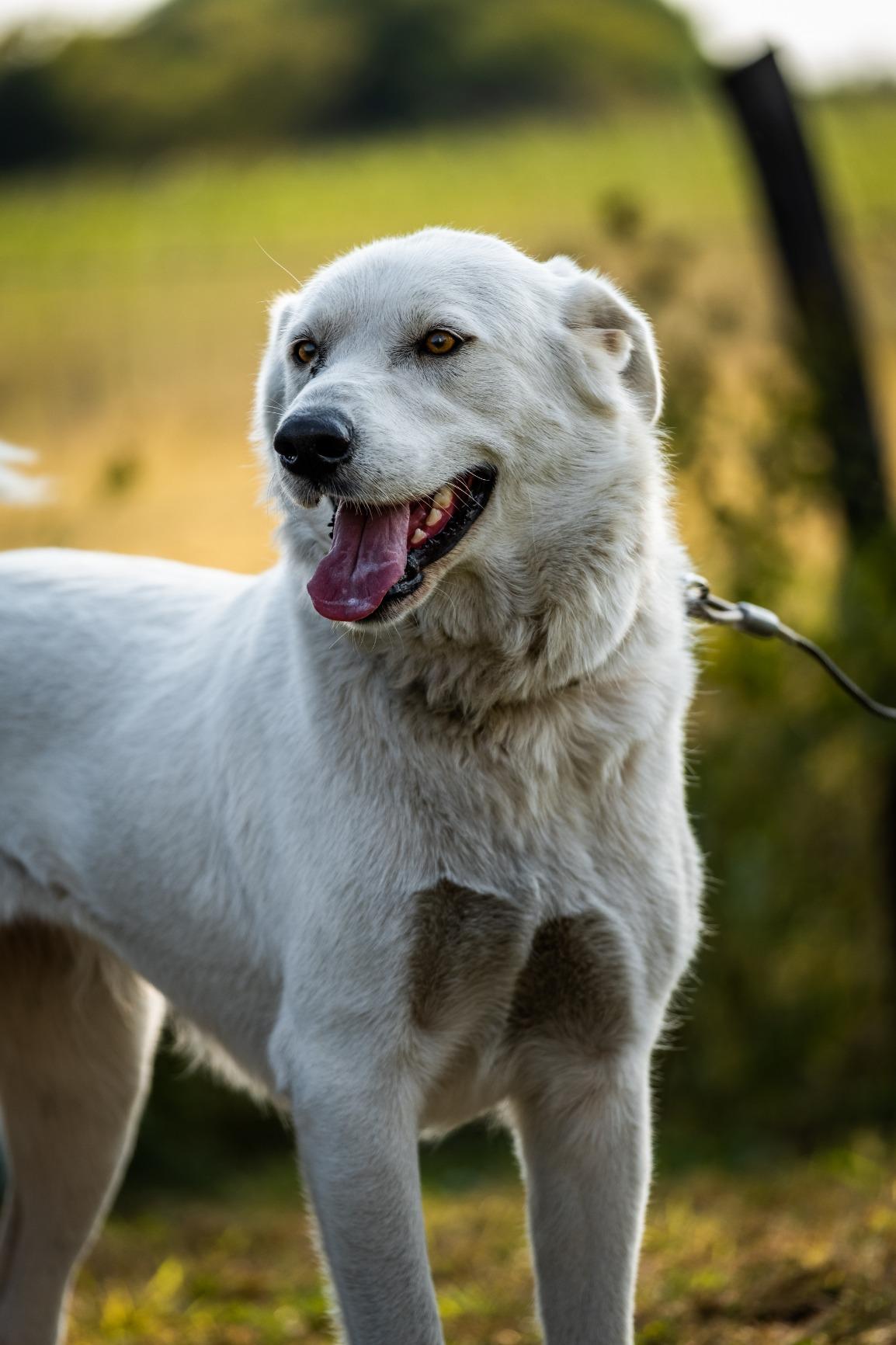 Fujinon XF50-140mmF2.8 R LM OIS WR - Customer Photo 2