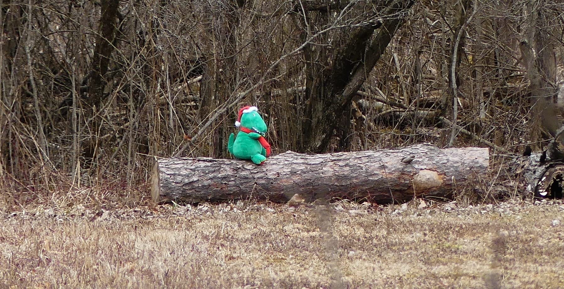 Panasonic LUMIX FZ300 Long Zoom Digital Camera Features 12.1 Megapixel, 1/2.3-Inch Sensor, 4K Video, WiFi, Splash & Dustproof Camera Body, LEICA DC 24X F2.8 Zoom Lens - DMC-FZ300K - (Black) USA - Customer Photo 4