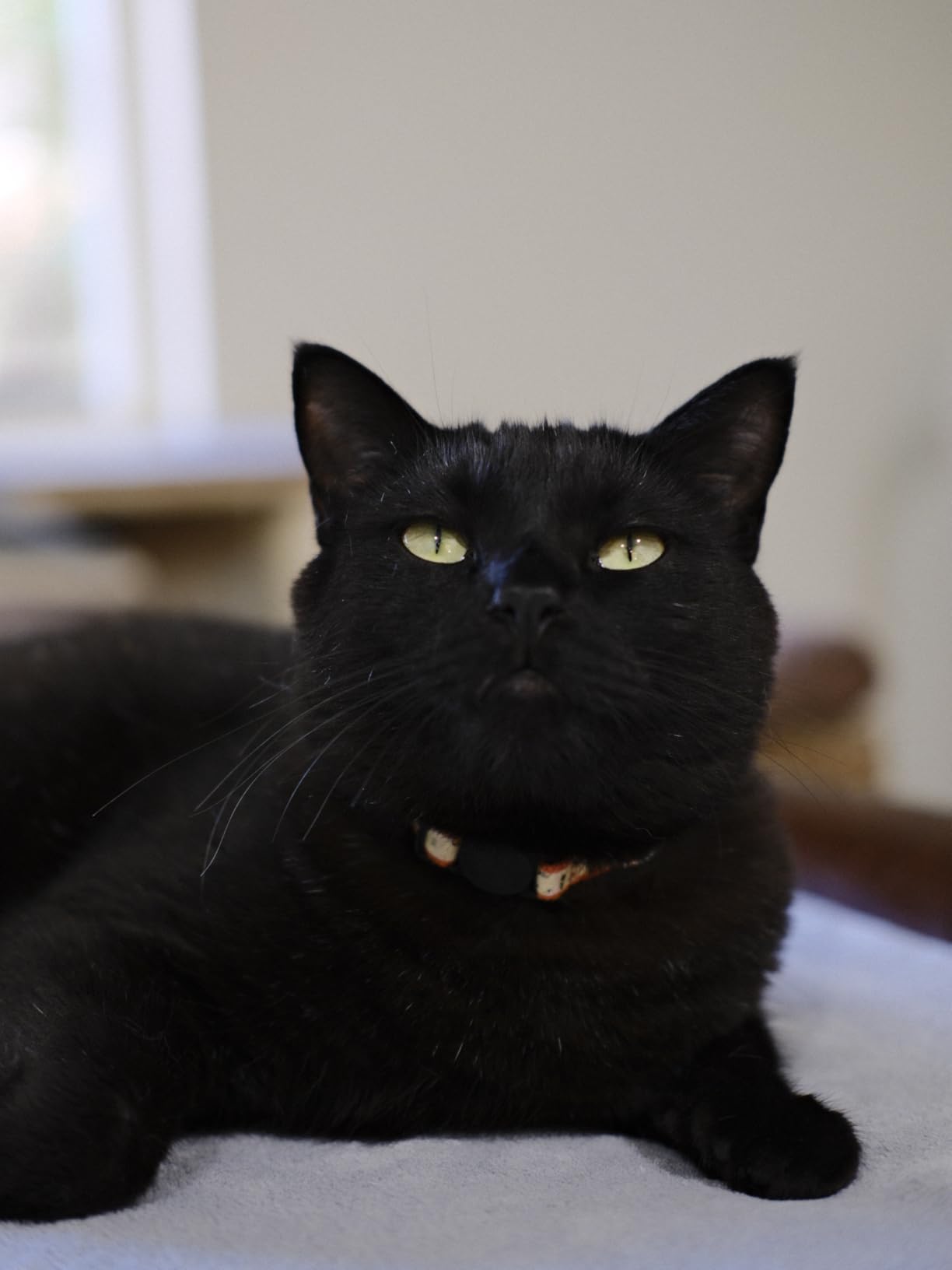 Fujinon XF35mmF2 R WR - Black - Customer Photo 5