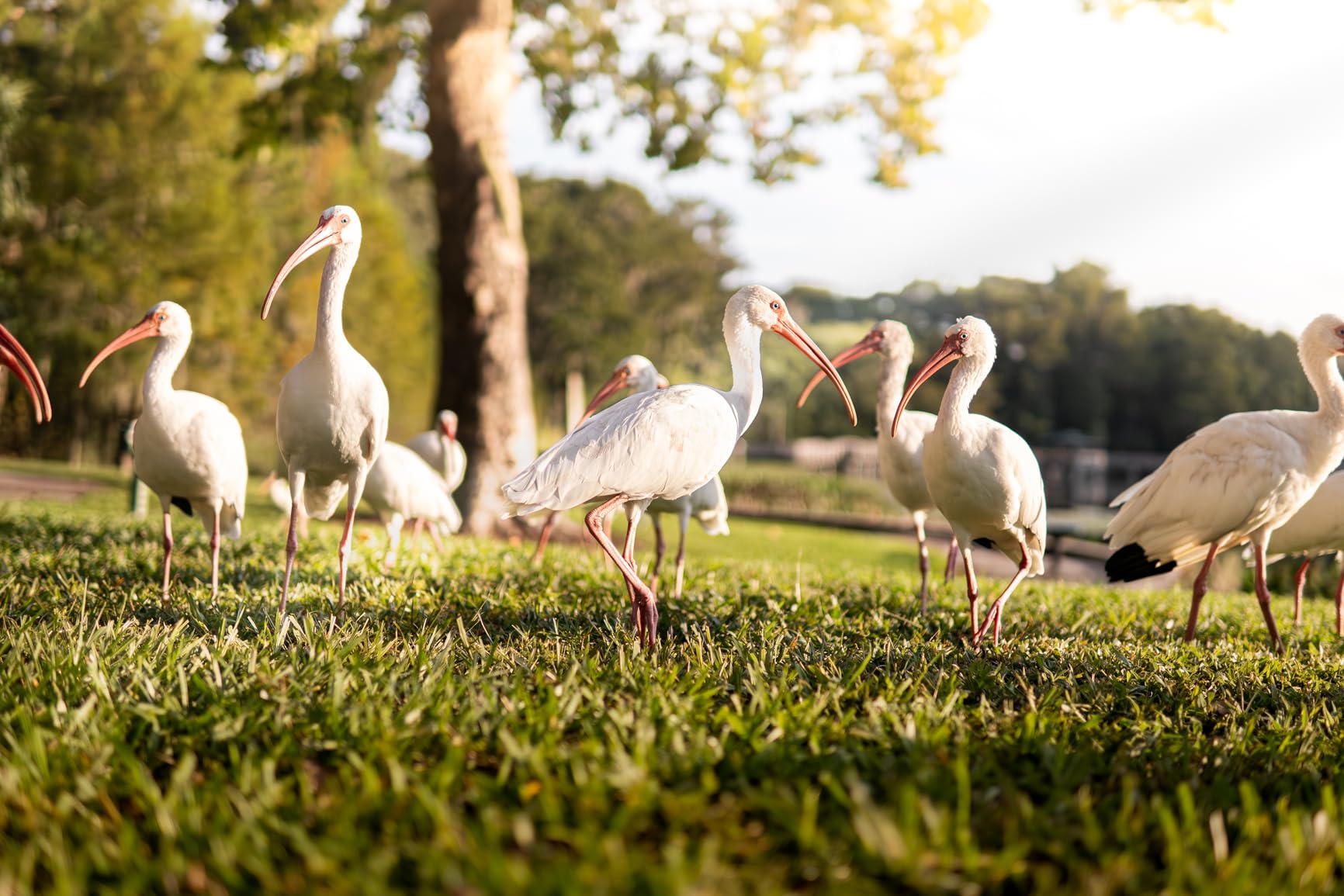 Sigma 30mm F1.4 Contemporary DC DN Lens for Sony E customer photo 1