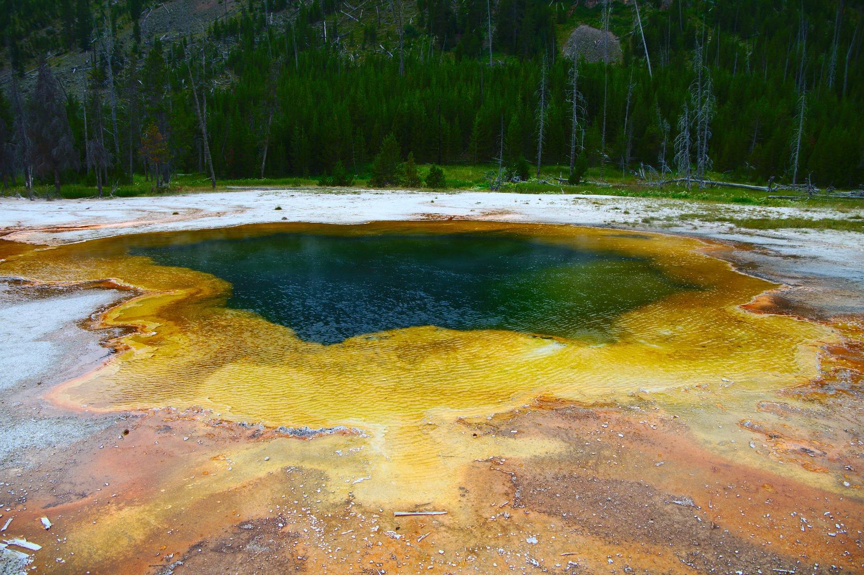 Canon EOS 6D Mark II Digital SLR Camera Body – Wi-Fi Enabled Customer Review Canon EOS 6D Mark II Digital SLR Camera Body – Wi-Fi Enabled - Customer Photo 1