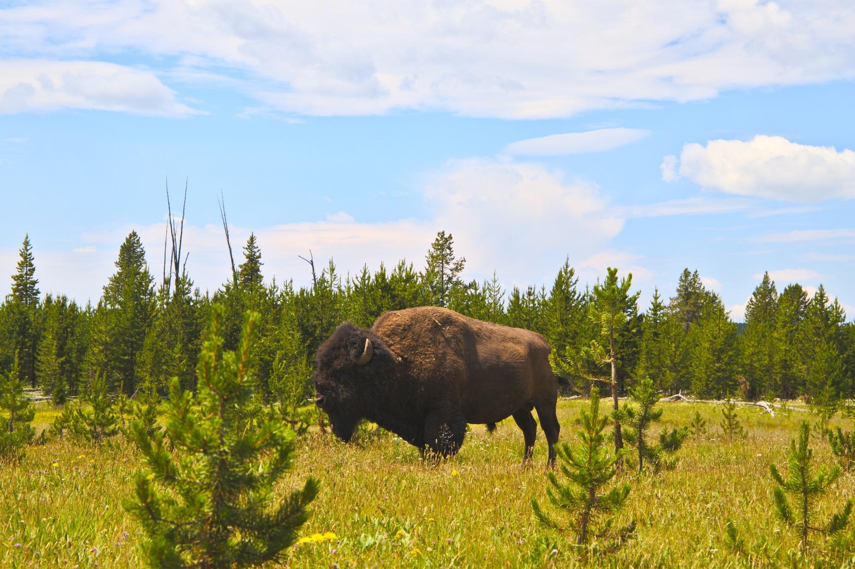 Canon EOS 6D Mark II Digital SLR Camera Body – Wi-Fi Enabled Customer Review Canon EOS 6D Mark II Digital SLR Camera Body – Wi-Fi Enabled - Customer Photo 3