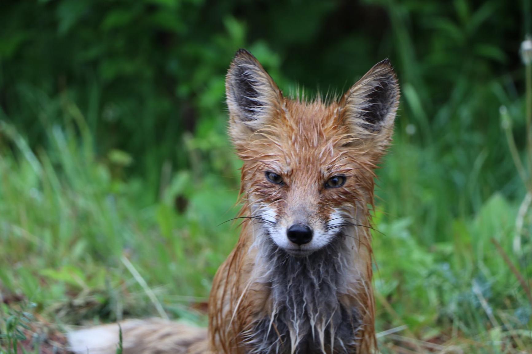 Canon EOS 80D Digital SLR Camera Body (Black) (Renewed) Customer Review Canon EOS 80D Digital SLR Camera Body (Black) (Renewed) - Customer Photo 5