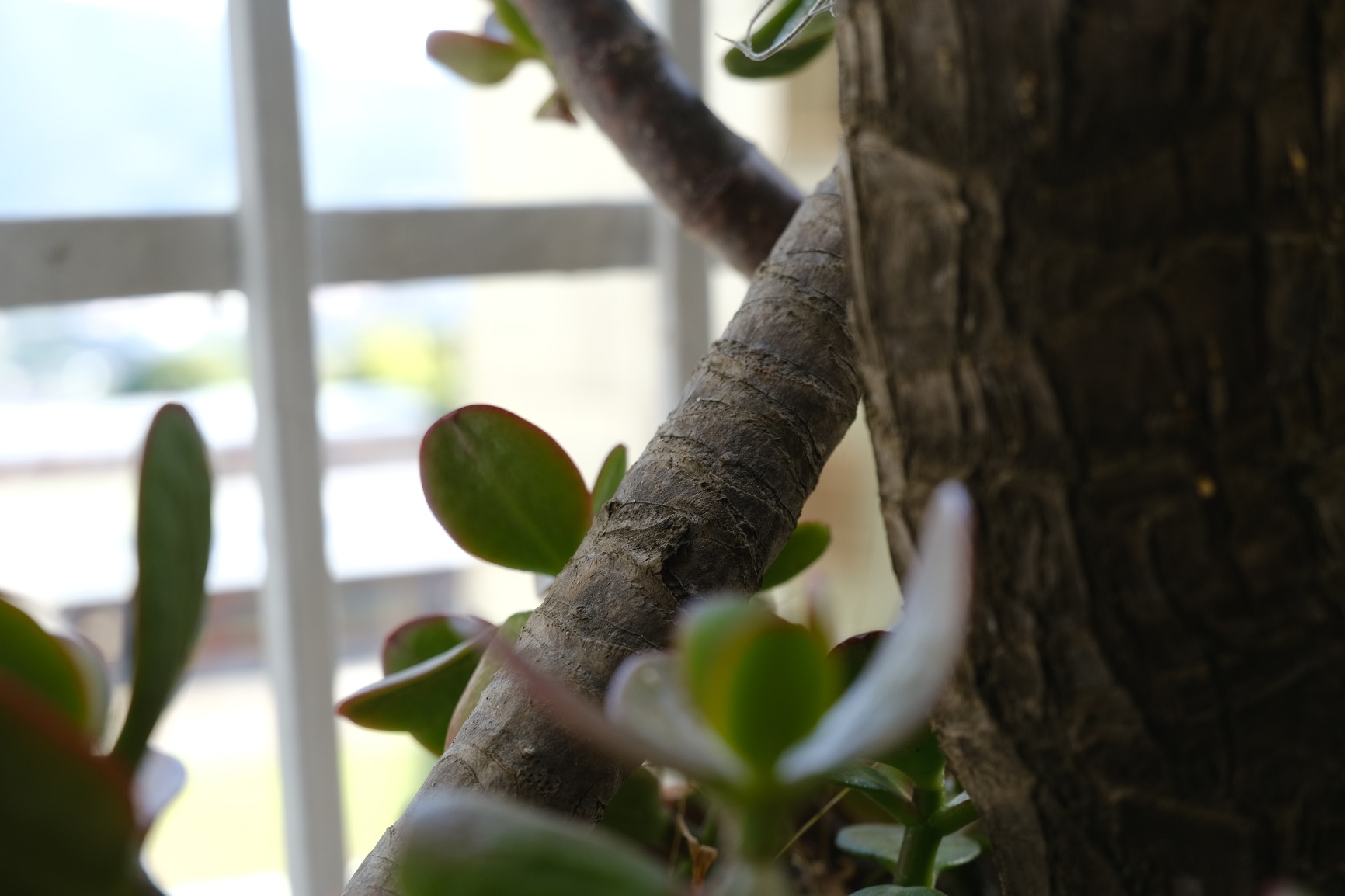 Fujifilm Fujinon XC15-45mmF3.5-5.6 OIS PZ Lens - Black - Customer Photo 4