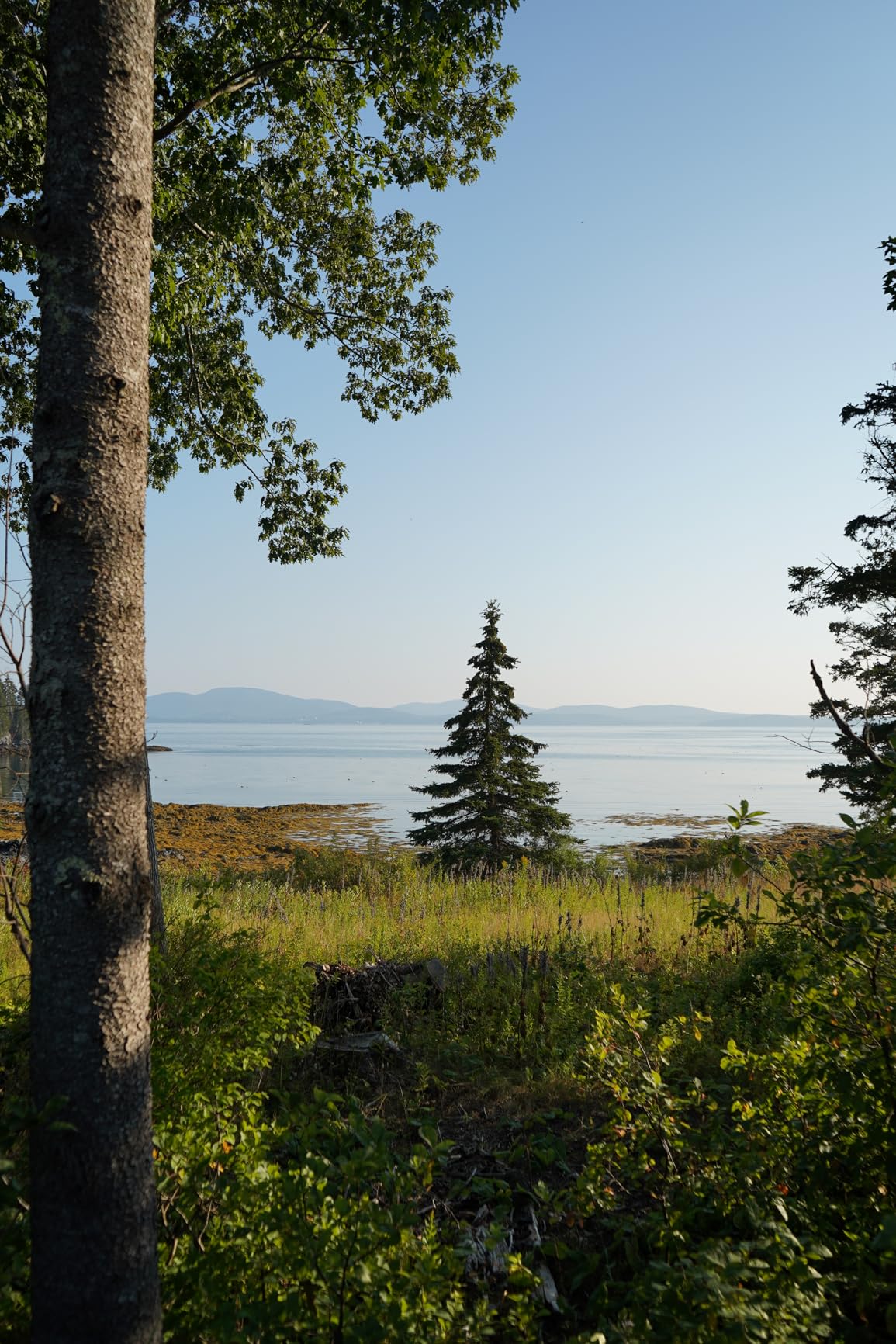 Sony a7 III (ILCEM3K/B) Full-frame Mirrorless Interchangeable-Lens Camera with 28-70mm Lens with 3-Inch LCD, Black - Customer Photo 5