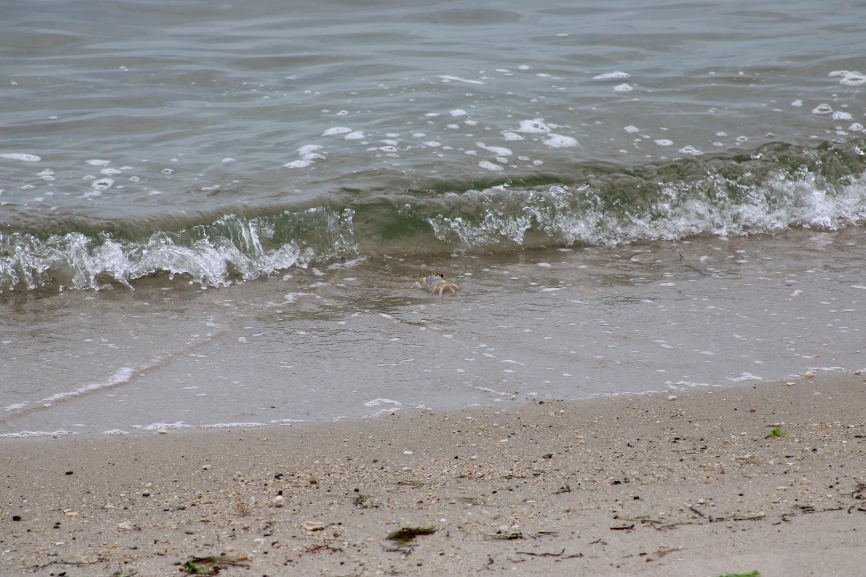 Canon EOS Rebel T7 DSLR Camera with 18-55mm Lens | Built-in Wi-Fi | 24.1 MP CMOS Sensor | DIGIC 4+ Image Processor and Full HD Videos - Customer Photo 2