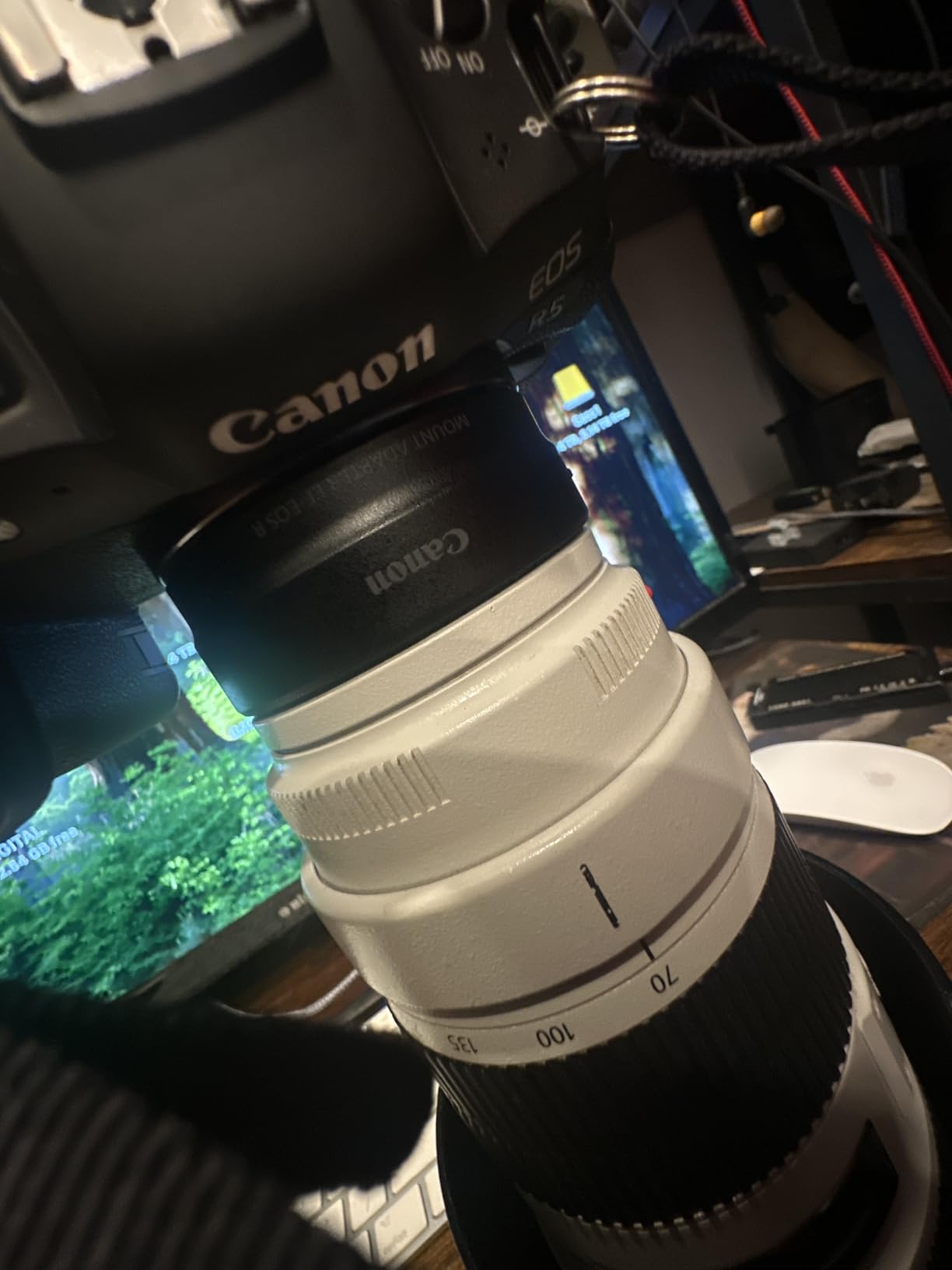 Canon Mount Adapter EF-EOS R, Black customer photo 2