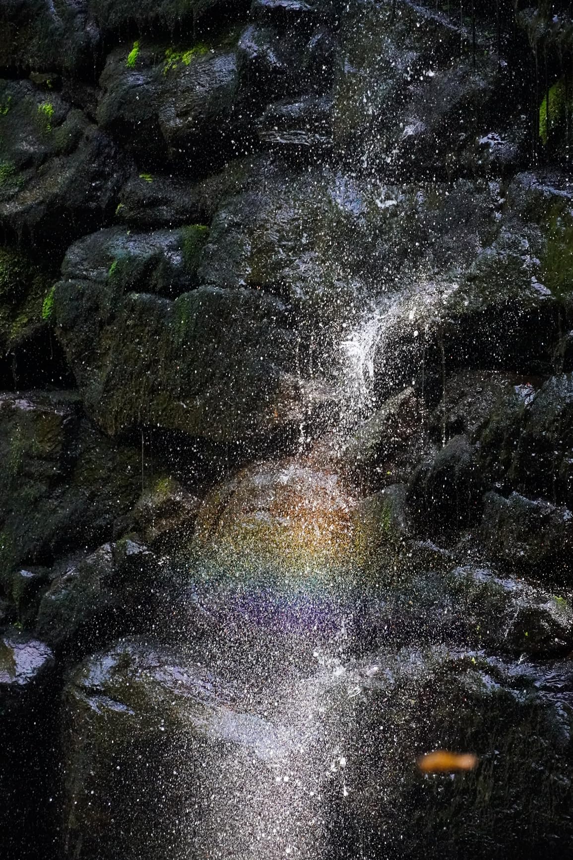 Sony Alpha a6400 Mirrorless Camera: Compact APS-C Interchangeable Lens Digital Camera with Real-Time Eye Auto Focus, 4K Video & Flip Up Touchscreen - E Mount Compatible Cameras - ILCE-6400/B Body - Customer Photo 1