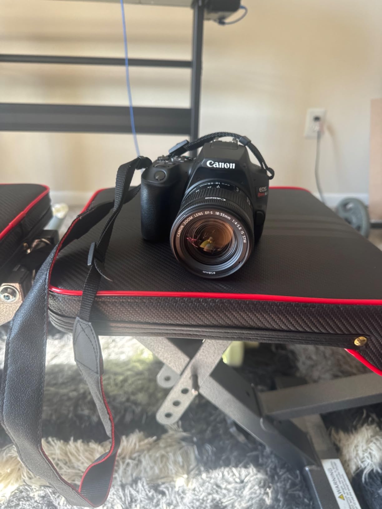 Canon EOS Rebel SL3 Digital SLR Camera with EF-S 18-55mm Lens kit, Built-in Wi-Fi, Dual Pixel CMOS AF and 3.0 Inch Vari-Angle Touch Screen, Black - Customer Photo 2