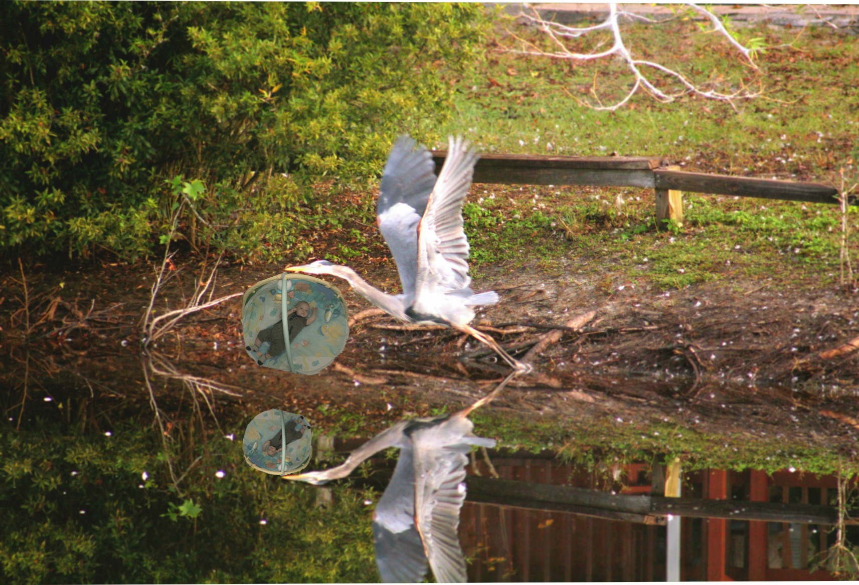 Altura Photo AP-305C Flash for Canon 2.4G E-TTL Wireless Compact Camera Speedlite Flash for Canon EOS R R5 R6 R7 R8 RP 90D 80D 70D SL2 T7I T6 T6I 5D 6D 7D M6 M50 - Customer Photo 2