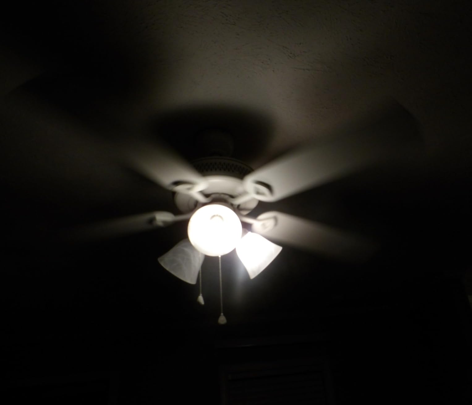 Minolta Pro Shot 20MP Digital Camera – 67x Optical Zoom, Full 1080p HD Video, Optical Image Stabilization, Wi-Fi, 3-inch Articulating LCD Screen, 27 Scene Modes – Includes 16GB SD Card (Black) - Customer Photo 3