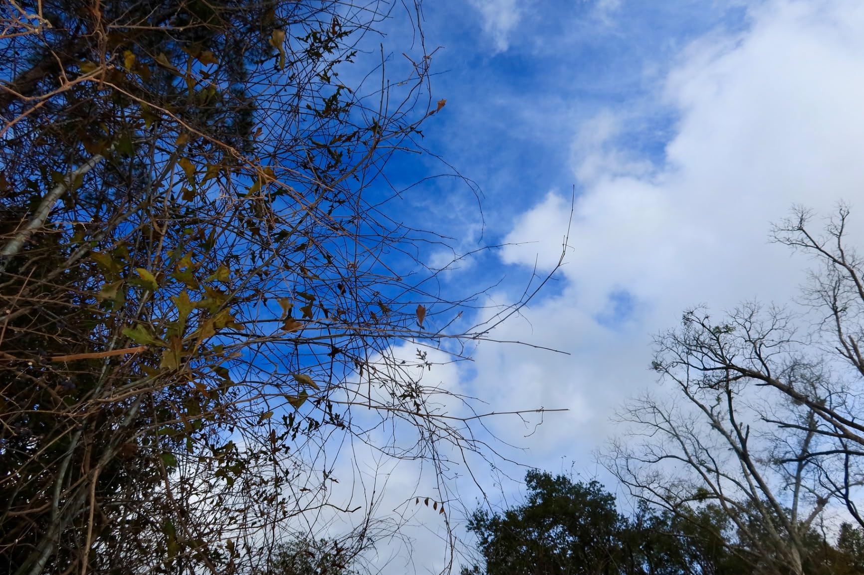 Canon PowerShot G7 X Mark III Digital Camera (Black) - Customer Photo 2