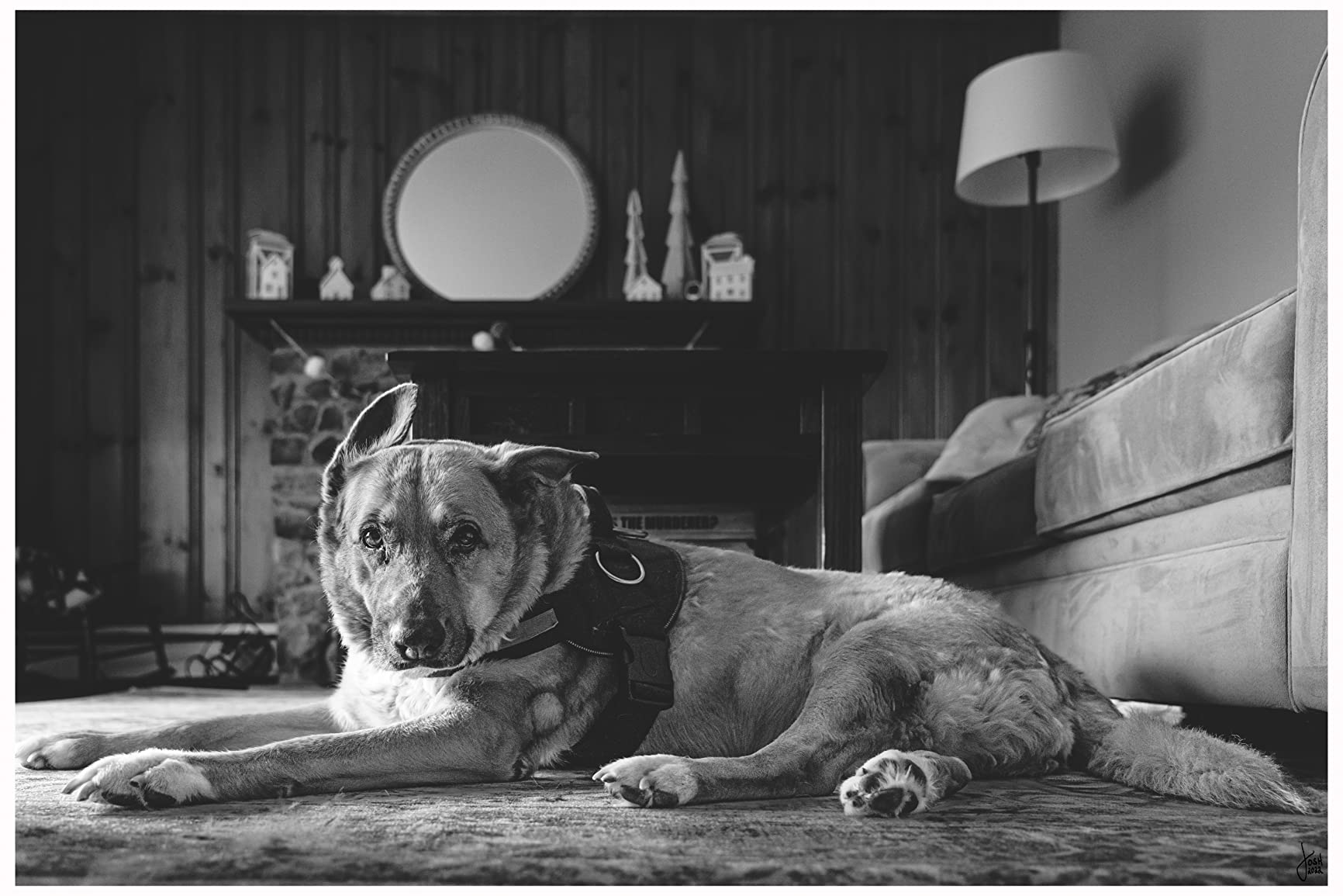 Sony FE 24-105mm F4 G OSS Standard Zoom Lens (SEL24105G/2), Black - Customer Photo 2