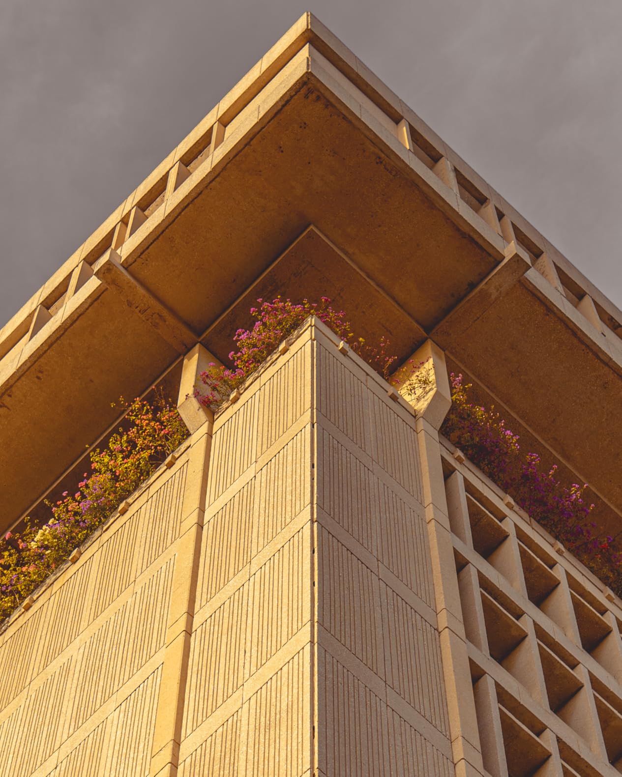 Sony FE 50mm F1.8 Standard Lens (SEL50F18F/2) - Customer Photo 2