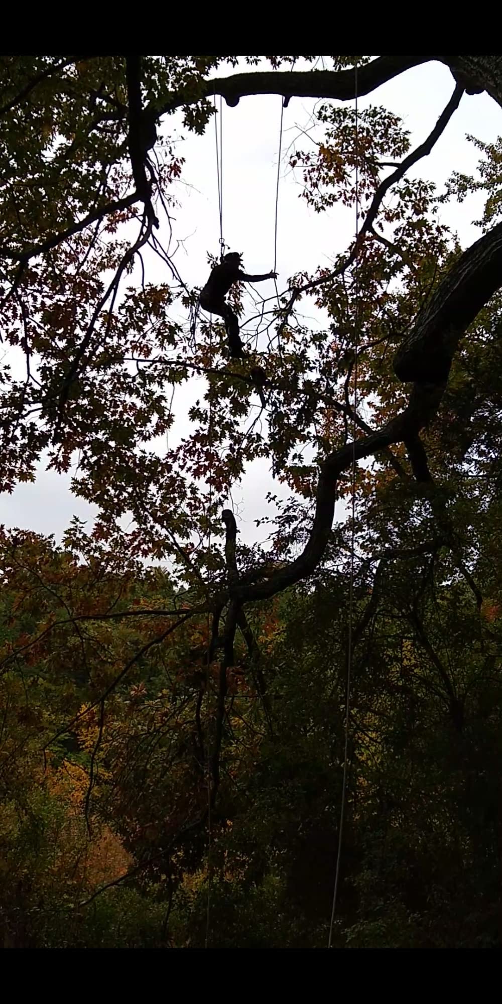 REMALI CapturePro 4K/60fps 20MP Waterproof Sports Action Camera Kit with Carrying Case + 3 Batteries, WiFi, 2