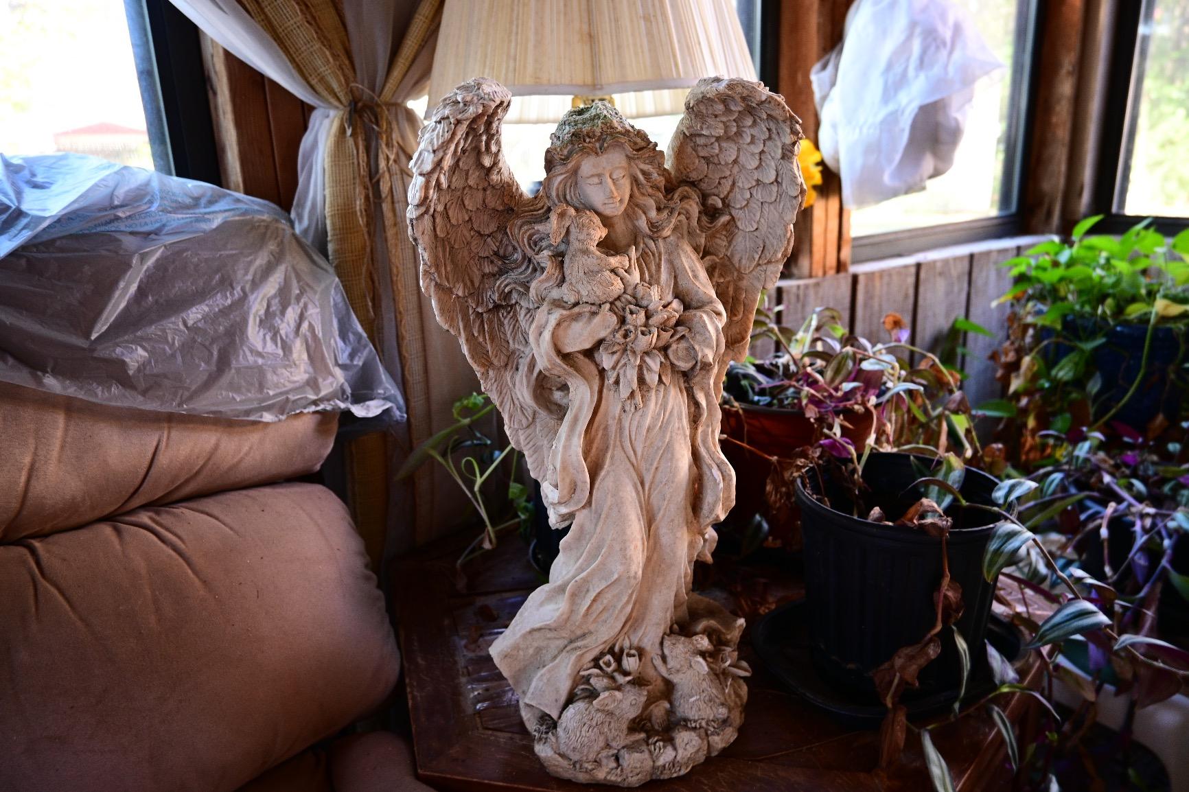 Nikon Z 50 with Wide-Angle Zoom Lens | Compact mirrorless stills/video camera with 16-50mm lens | Nikon USA Model Customer Review Nikon Z 50 with Wide-Angle Zoom Lens | Compact mirrorless stills/video camera with 16-50mm lens | Nikon USA Model - Customer Photo 5