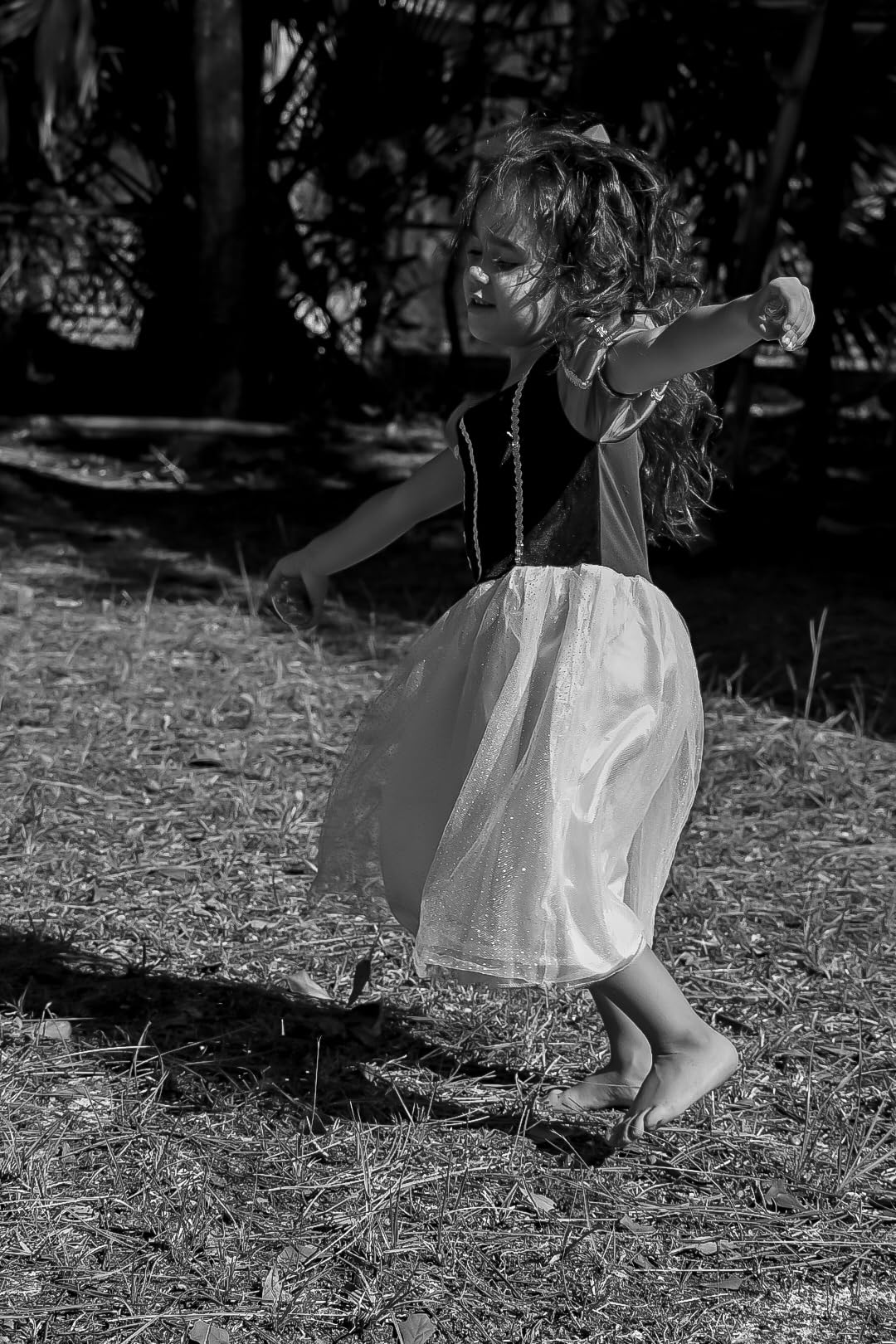 NIKKOR Z DX 50-250mm VR | Compact all-in-one telephoto zoom lens with image stabilization for APS-C size/DX format Z series mirrorless cameras (standard to long telephoto) | Nikon USA Model - Customer Photo 3