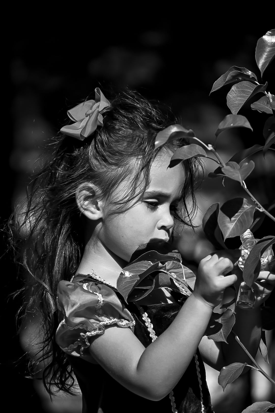 Nikon NIKKOR Z DX 50-250mm VR | Compact all-in-one telephoto zoom lens with image stabilization for APS-C size/DX format Z series mirrorless cameras (standard to long telephoto) | Nikon USA Model - Customer Photo 4