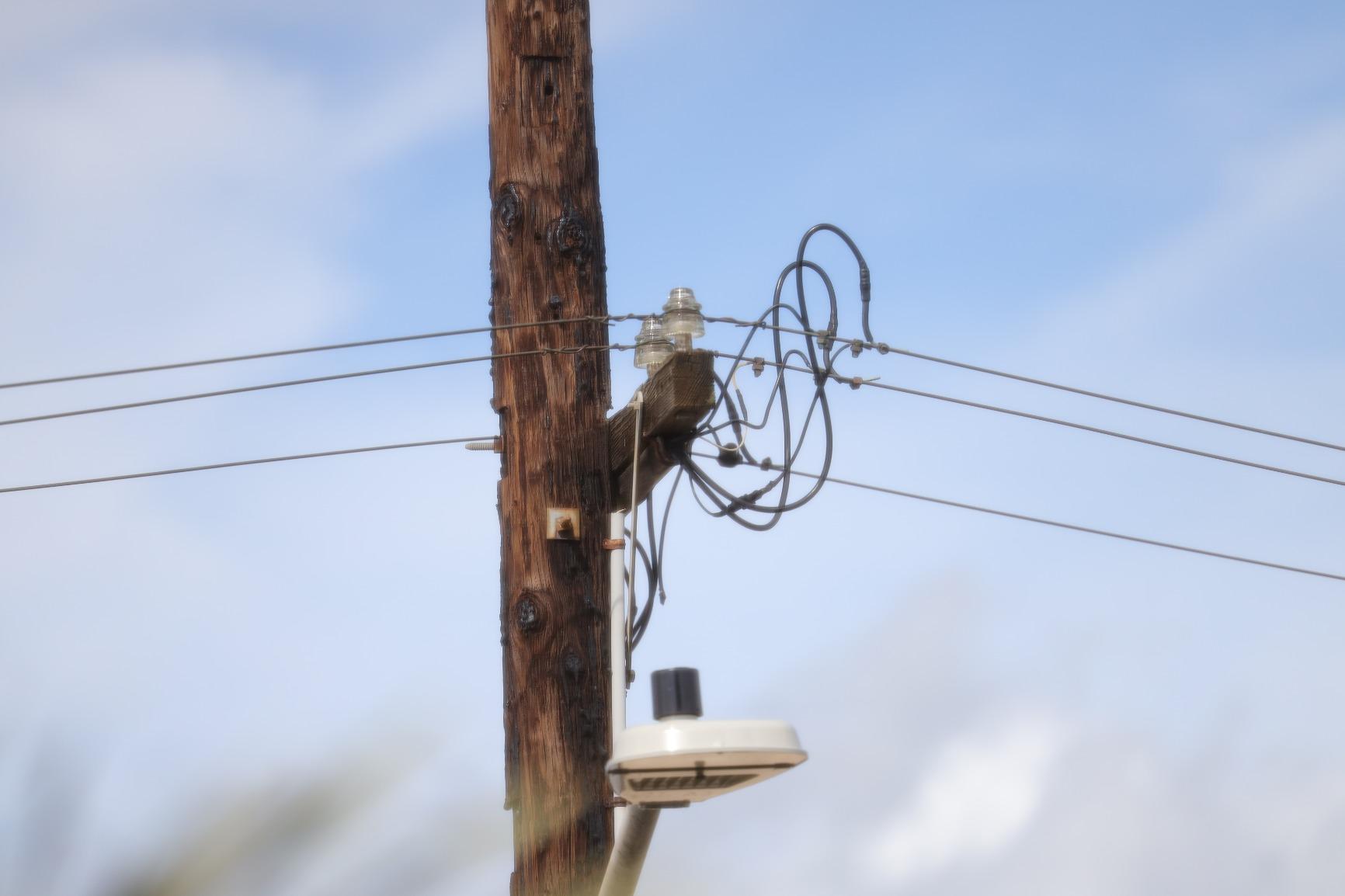 Canon RF70-200mm F2.8 L is USM Lens, Mirrorless Telephoto Zoom Lens, Compatible with EOS R Series APS-C and Full-Frame Cameras, Image Stabilization, Landscape and Sports Photography, White - Customer Photo 1