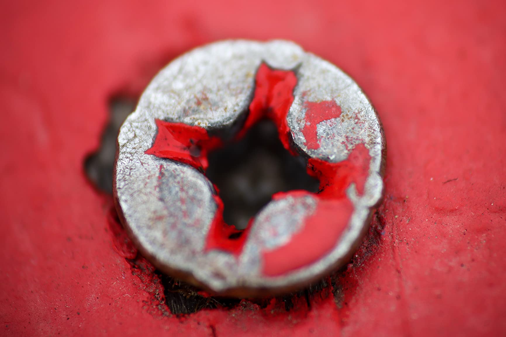 Canon EOS 90D DSLR Camera Body Only (Renewed) Customer Review Canon EOS 90D DSLR Camera Body Only (Renewed) - Customer Photo 4