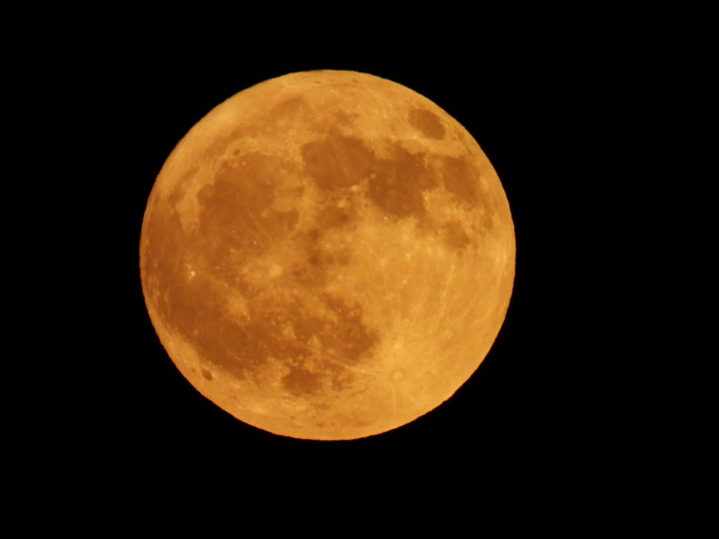 NIkon COOLPIX P950 Superzoom Digital Camera | 83x Optical Zoom with Image Stabilization 16 MP 4K Ultra HD Video Wi-Fi Connectivity RAW Format and Rotating LCD Screen (Black) - Customer Photo 1