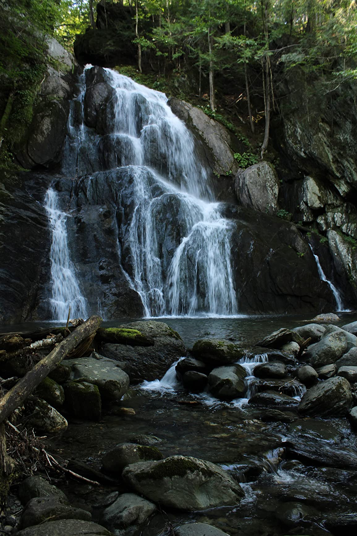 Canon EOS Rebel T7 DSLR Camera with 18-55mm is II Lens + Canon EF 75-300mm f/4-5.6 III Lens and 500mm Preset Lens + 32GB Memory + Filters + Monopod + Professional Bundle (Renewed) customer photo 2