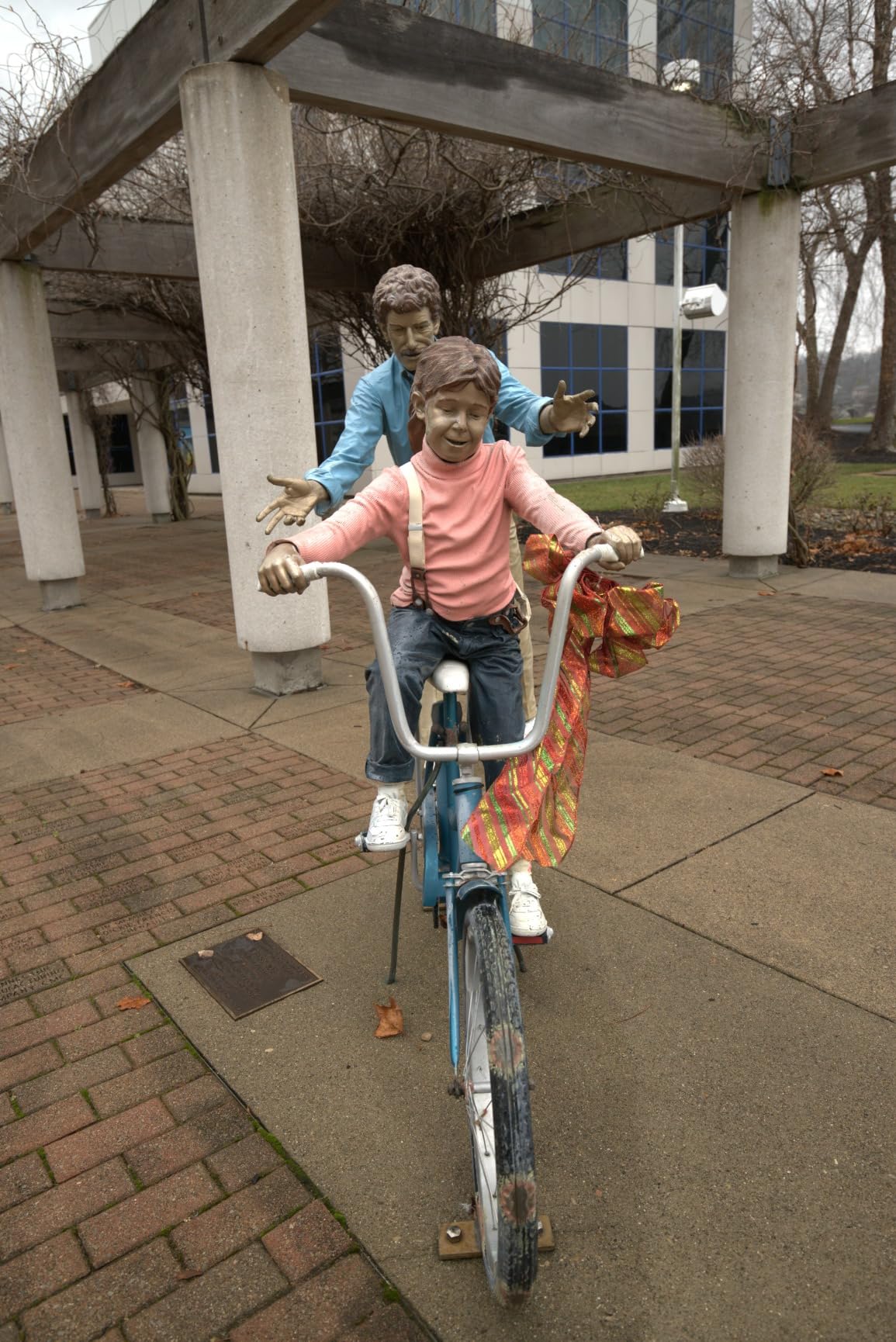 Nikon Z 5 | Our most compact full-frame mirrorless stills/video camera - Customer Photo 1