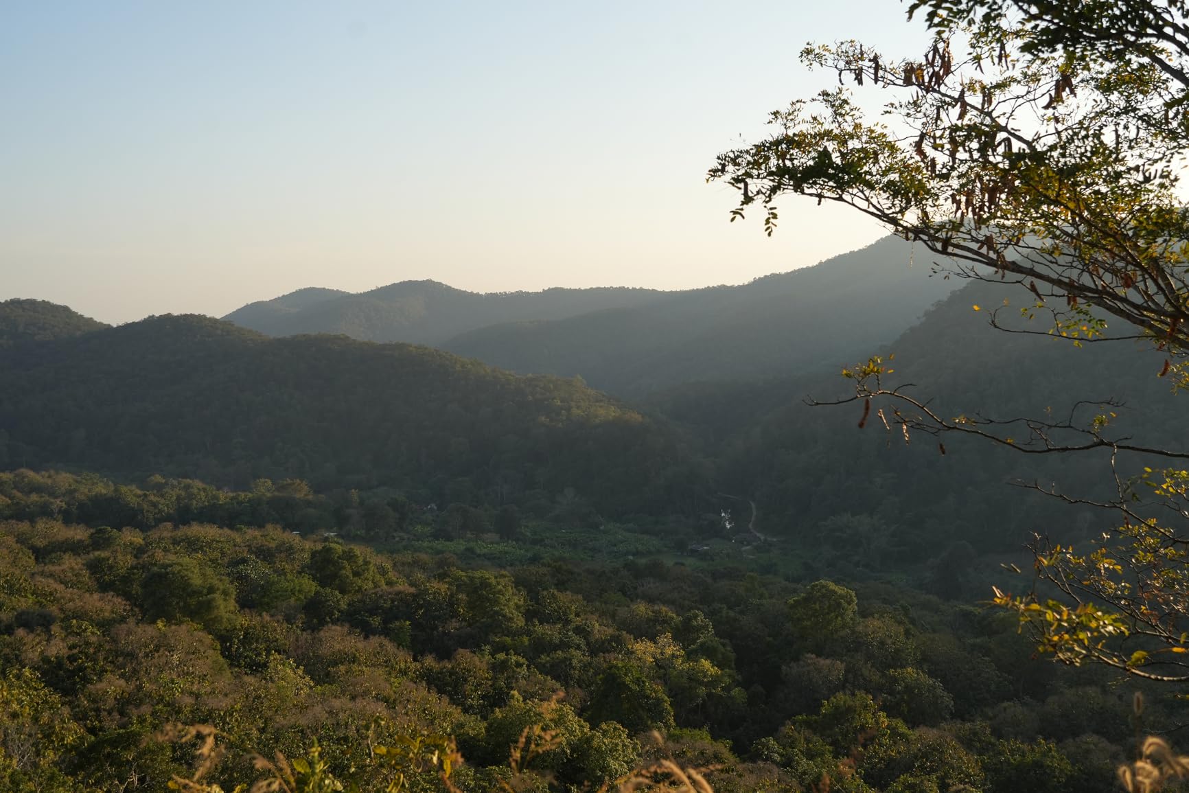 Sony FE 28-60mm F4-5.6 Full-Frame Compact Zoom Lens (SEL2860) - Customer Photo 3