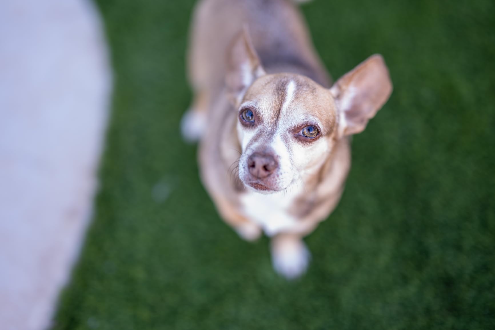 Nikon NIKKOR Z 50mm f/1.2 S | Professional extra-large aperture 50mm prime lens for Z series mirrorless cameras | Nikon USA Model - Customer Photo 4