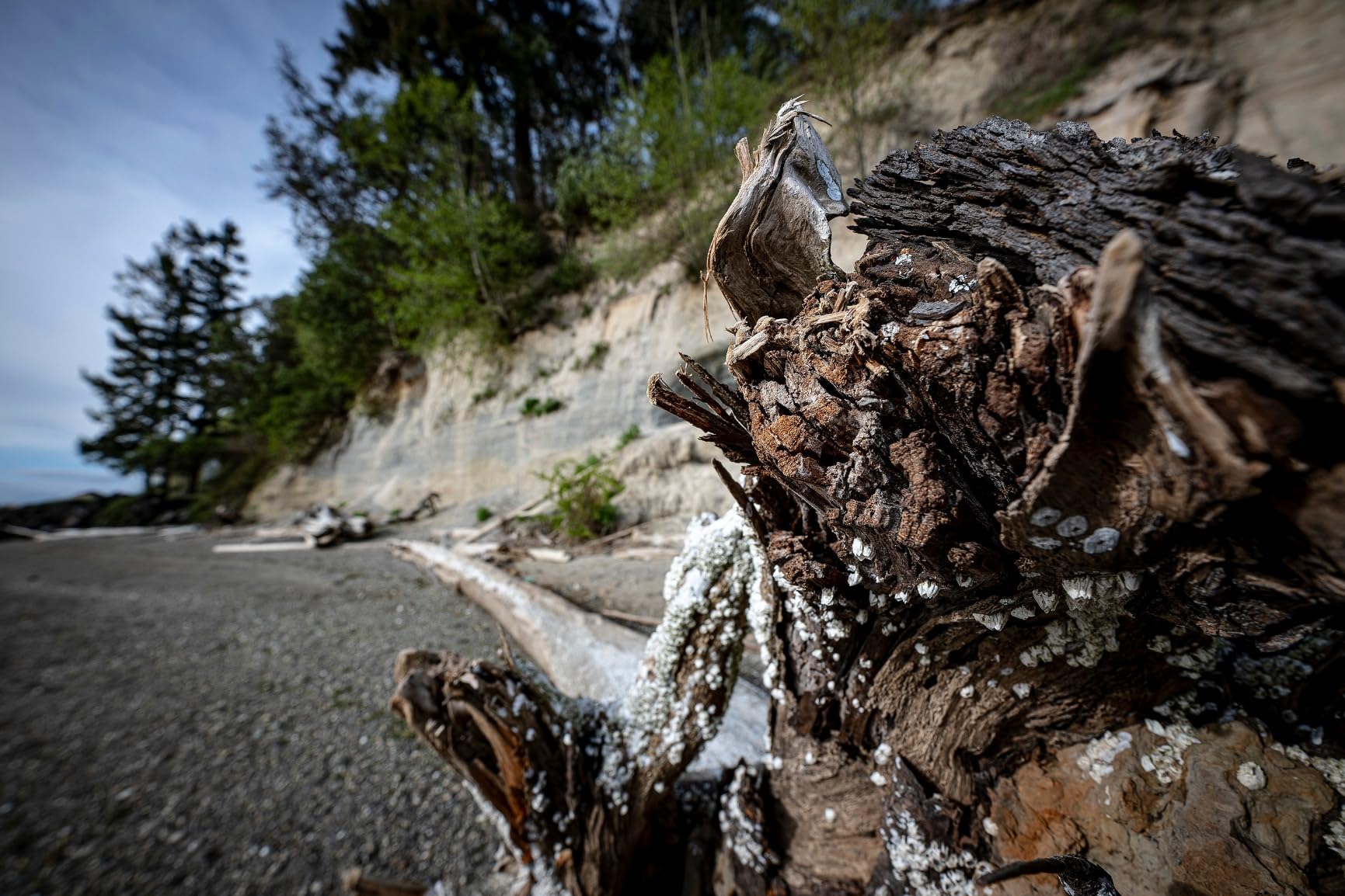 NIKKOR Z 14-24mm f/2.8 S | Professional large aperture wide-angle zoom lens for Z series mirrorless cameras | Nikon USA Model - Customer Photo 3