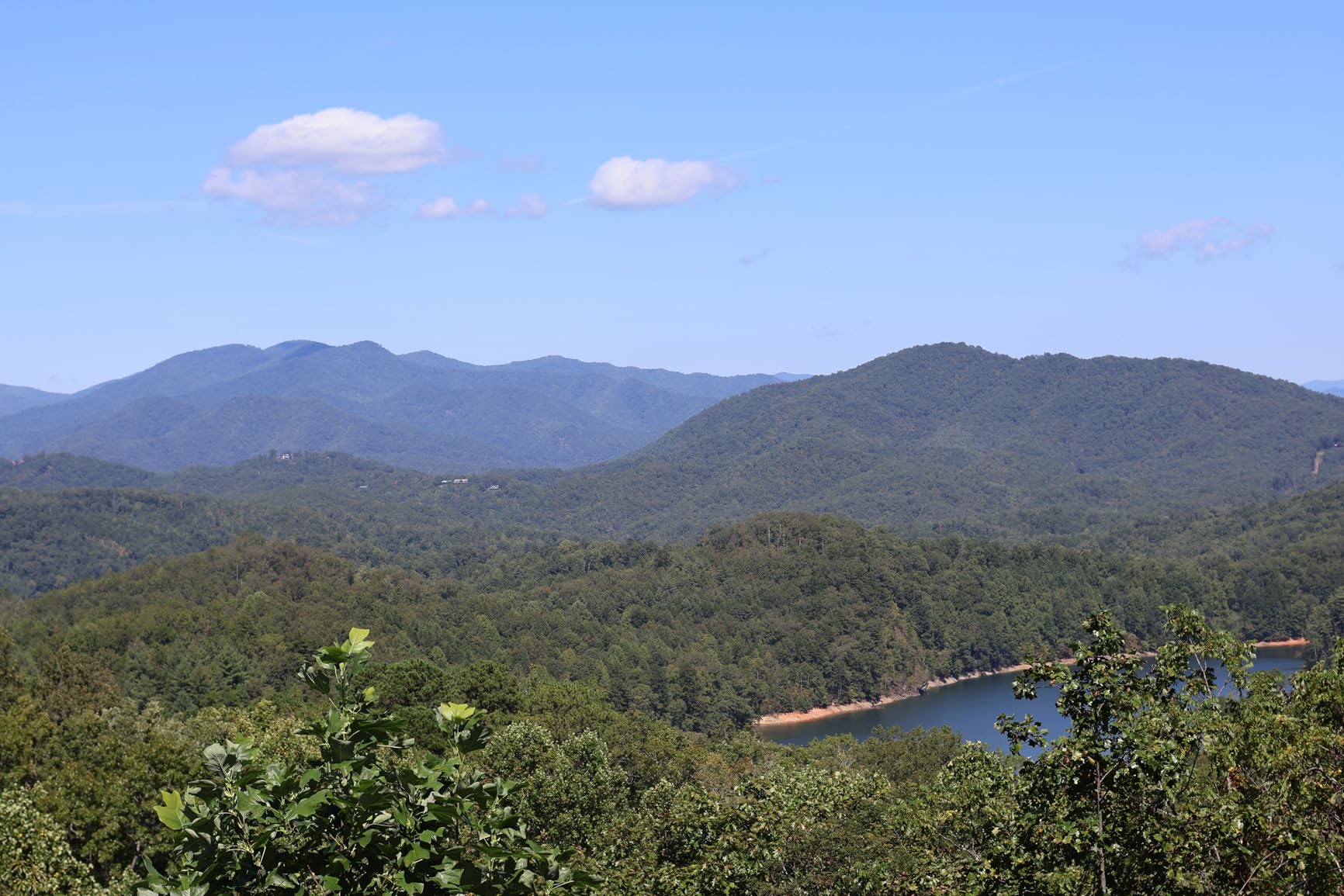 Canon RF50mm F1.8 STM Lens, Fixed Focal Length Prime Lens, Compatible with EOS R Series Mirrorless Cameras, Black - Customer Photo 1