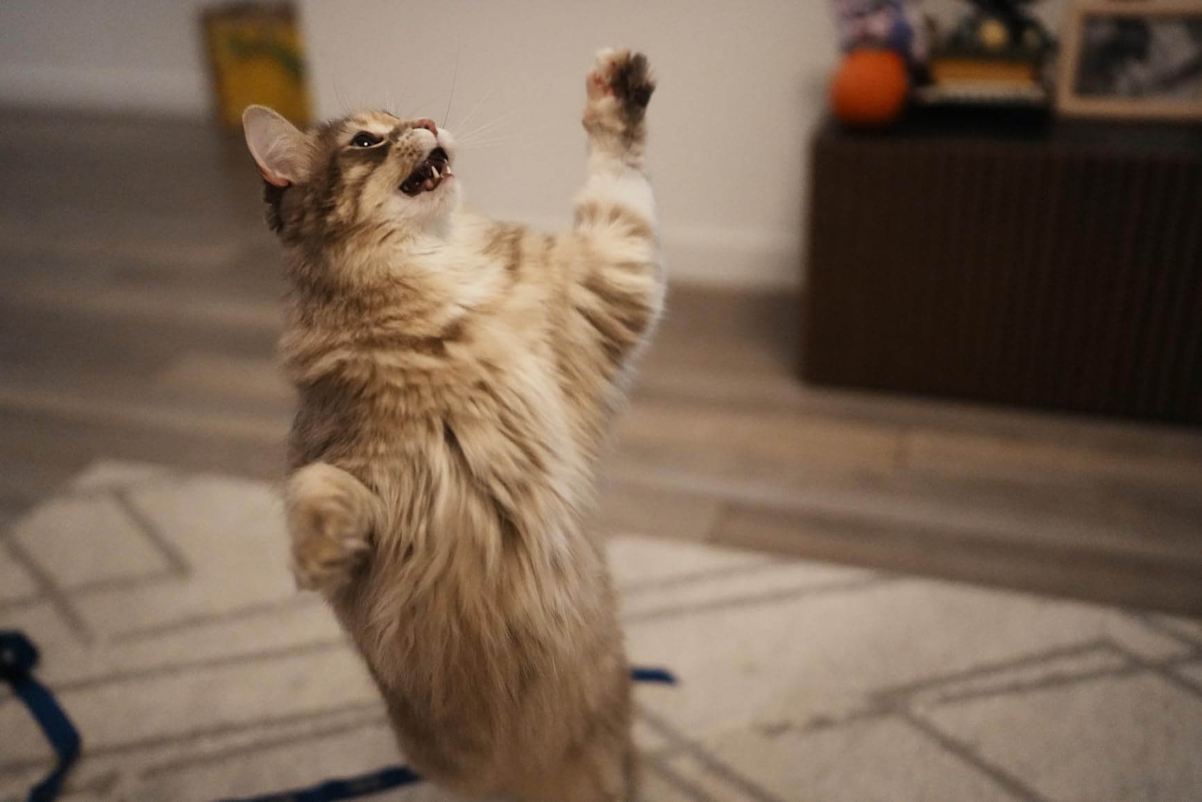 Sony FE 35mm F1.4 GM Full-Frame Large-Aperture Wide Angle G Master Lens Black - Customer Photo 1