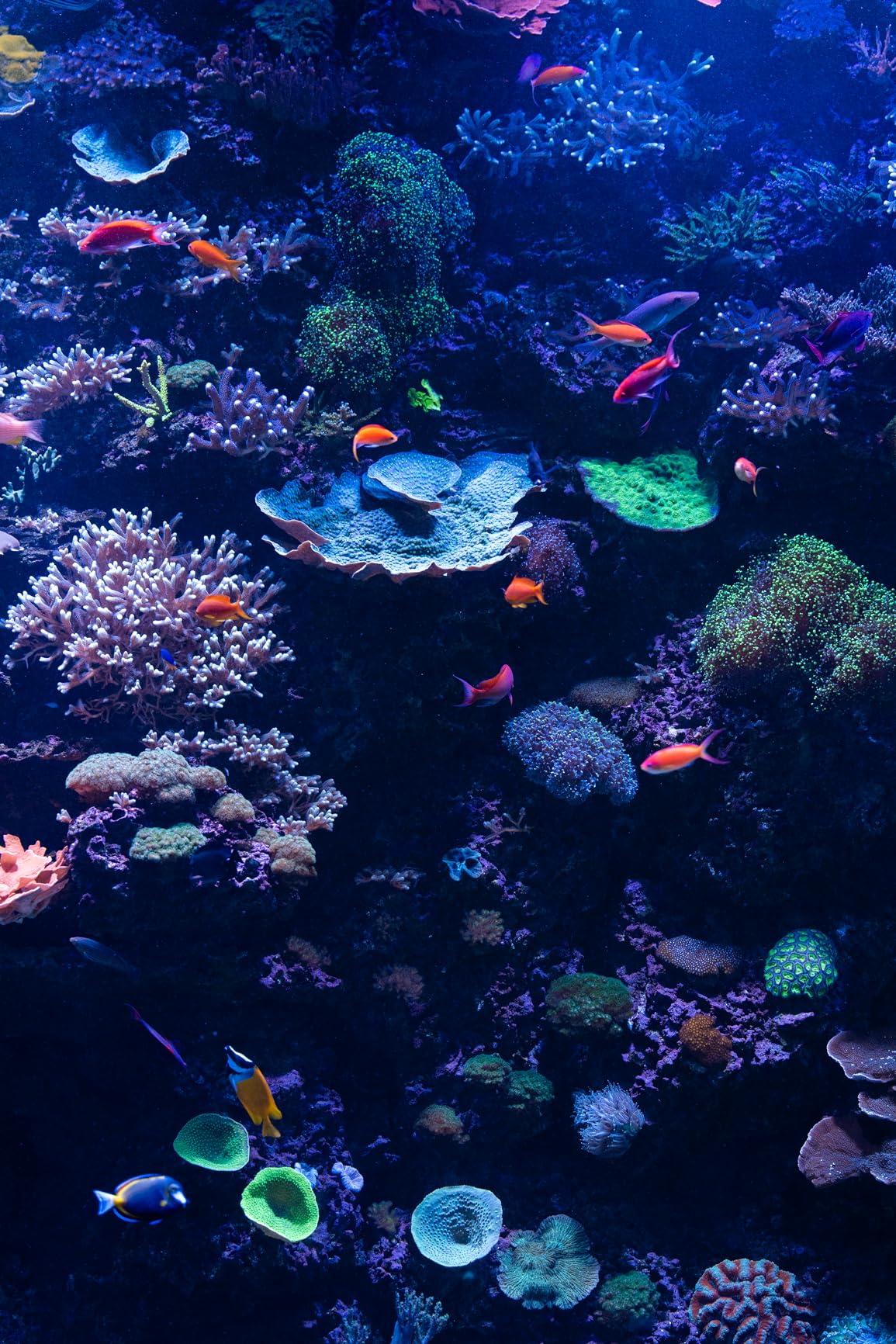 28-70mm F2.8 DG DN for Sony E Black customer photo 1