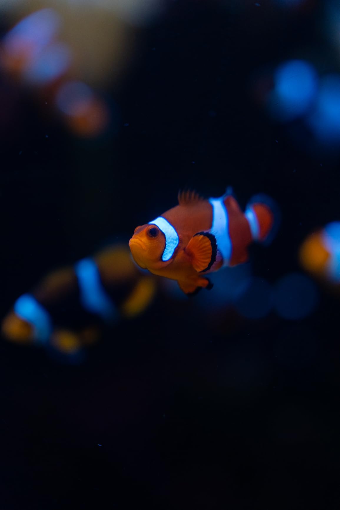 28-70mm F2.8 DG DN for Sony E Black customer photo 2