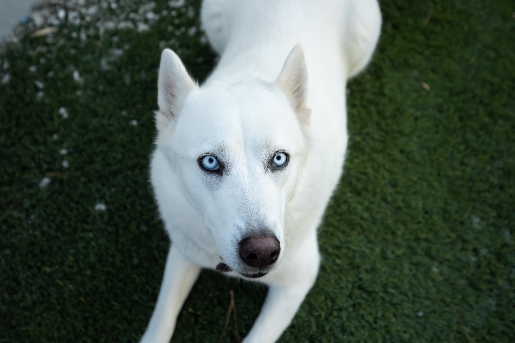 Canon RF14-35mm F4 L is USM Lens, Wide-Angle Zoom Lens, Compatible with EOS R Series Mirrorless Cameras, Black Customer Review Canon RF14-35mm F4 L is USM Lens, Wide-Angle Zoom Lens, Compatible with EOS R Series Mirrorless Cameras, Black - Customer Photo 2