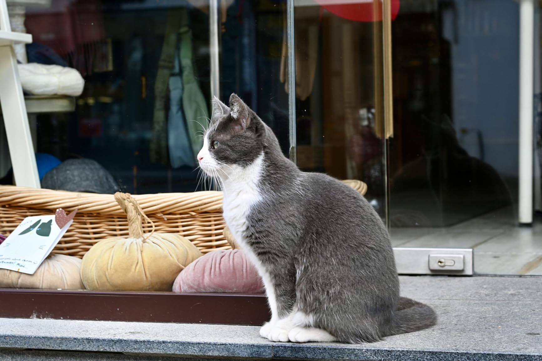 Nikon Z fc with Wide-Angle Zoom Lens | Retro-inspired compact mirrorless stills/video camera with 16-50mm zoom lens | Nikon USA Model - Customer Photo 1