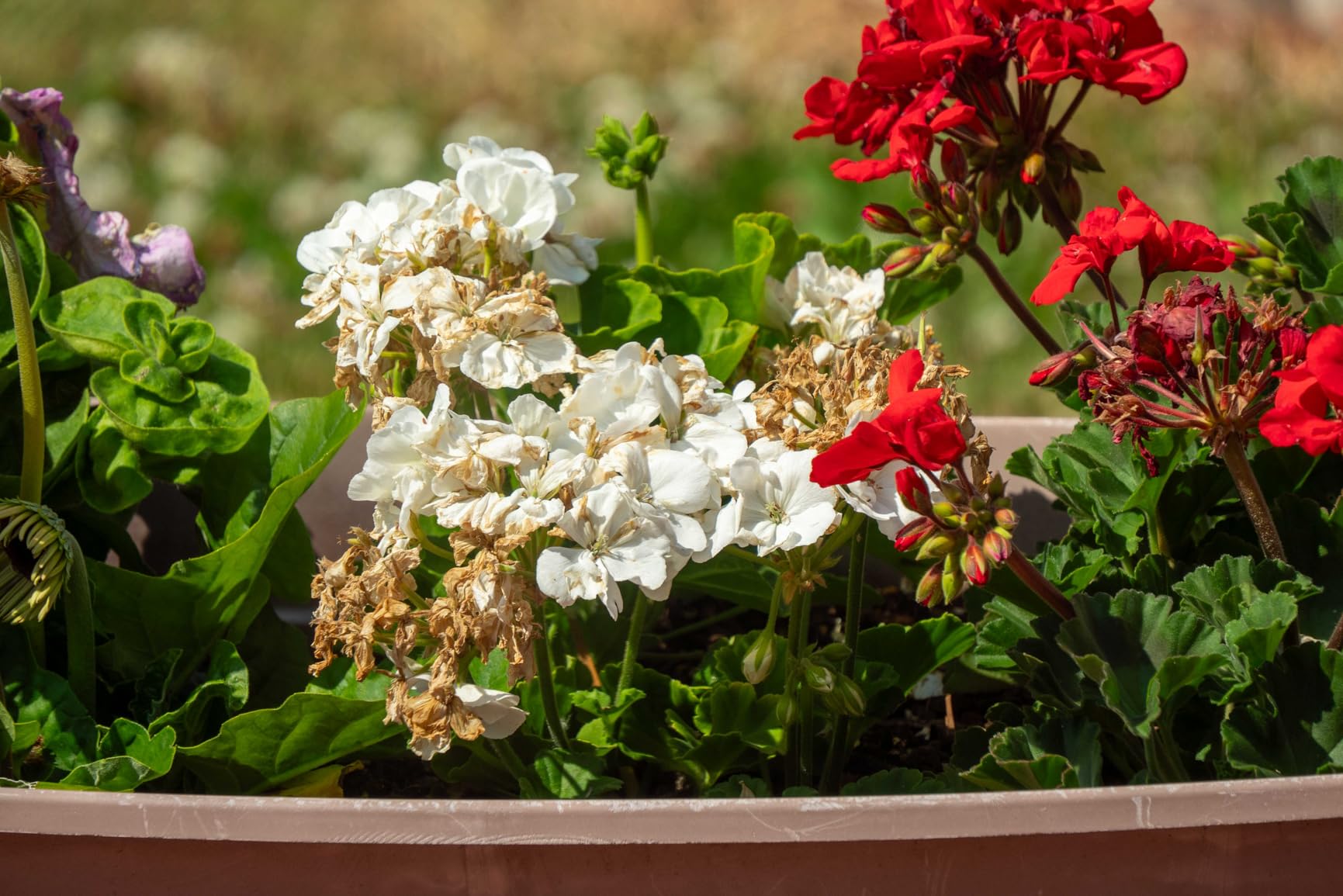 Tamron 18-300mm F/3.5-6.3 Di III-A VC VXD Lens for Sony E APS-C Mirrorless Cameras (Black) - Customer Photo 1