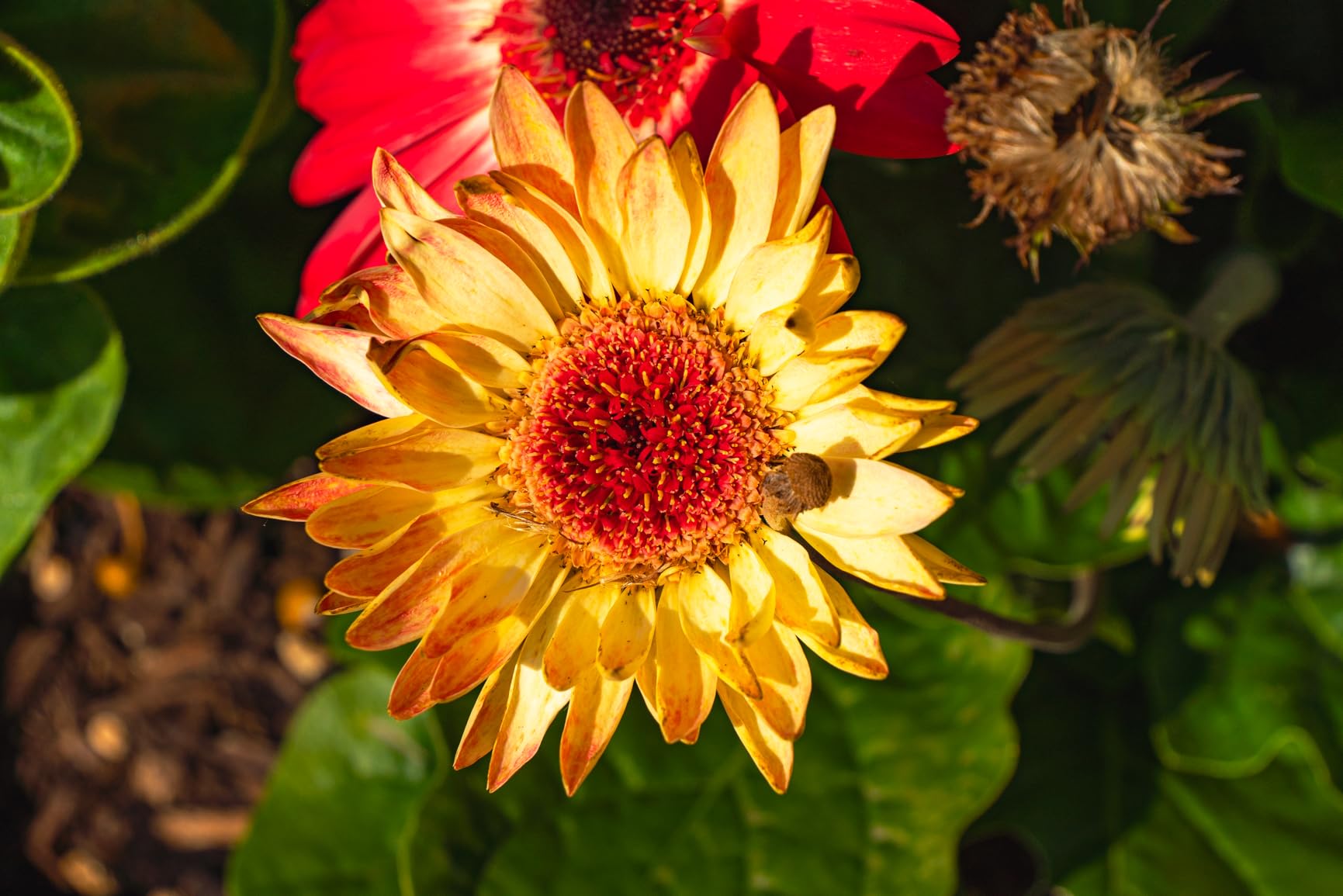 Tamron 18-300mm F/3.5-6.3 Di III-A VC VXD Lens for Sony E APS-C Mirrorless Cameras customer photo 2