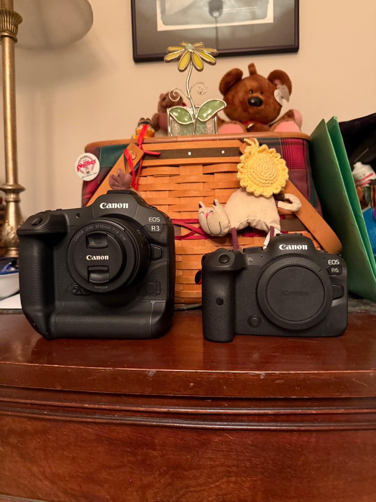 Canon EOS R3 Mirrorless Camera (Body Only), Full-Frame Camera, 6K 60p RAW, 4K 120p Video, 24.1 Megapixel CMOS Sensor, DIGIC X Image Processor, for Sports, Action, Black - Customer Photo 2