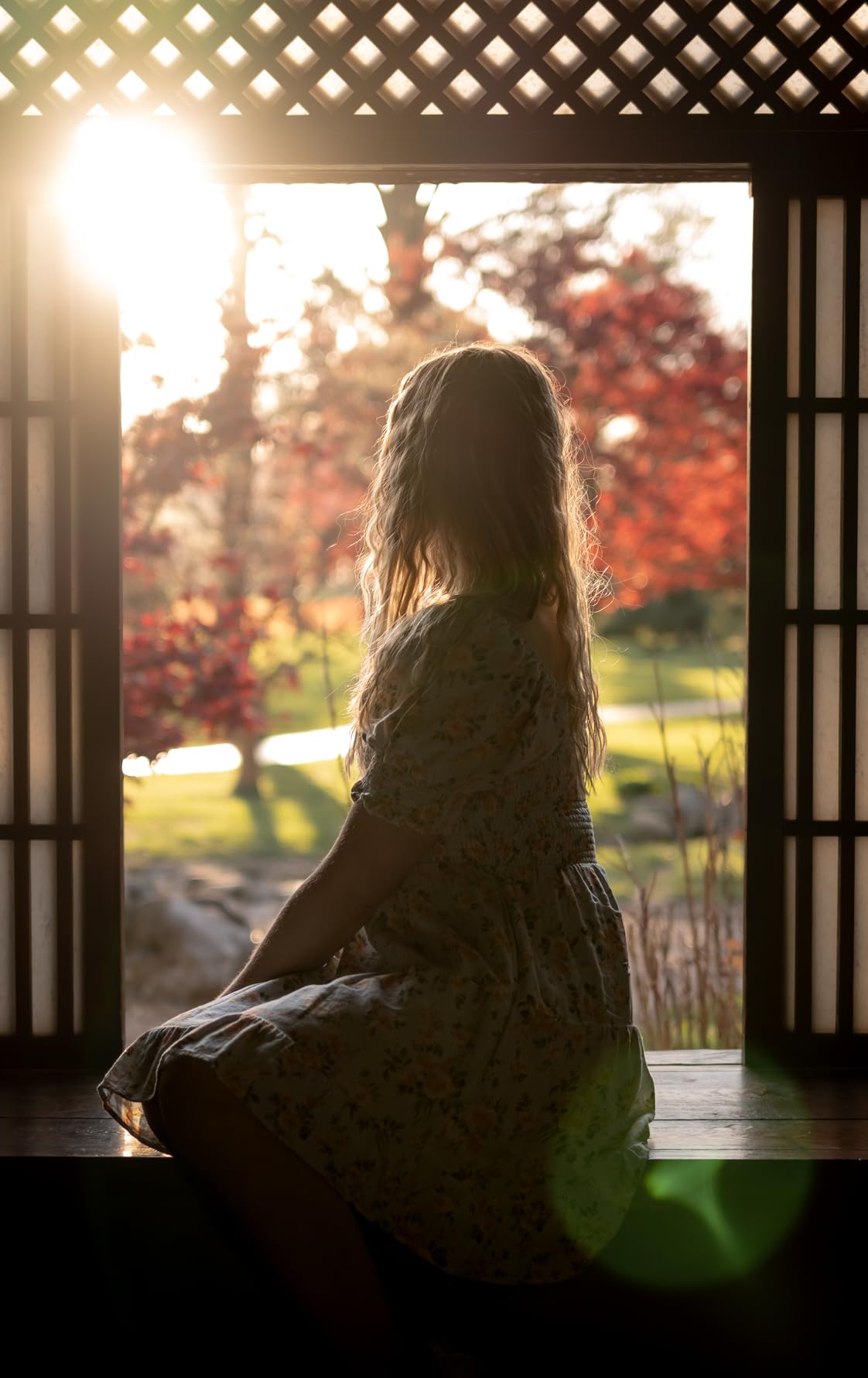 Nikon NIKKOR Z 40mm f/2 | Large aperture 40mm prime lens for Z series mirrorless cameras | Nikon USA Model - Customer Photo 2