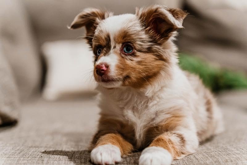 Tamron 28-75mm F/2.8 Di III VXD G2 for Sony E-Mount Full Frame/APS-C (6 Year Limited USA Warranty) - Customer Photo 2