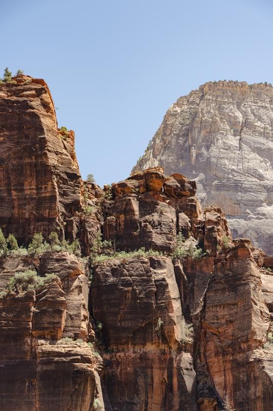 Tamron 28-75mm F/2.8 Di III VXD G2 for Sony E-Mount Full Frame/APS-C (6 Year Limited USA Warranty) - Customer Photo 3