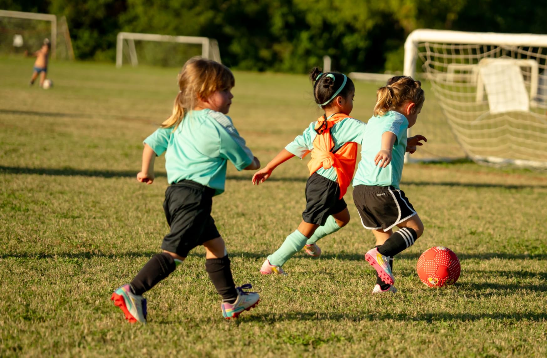 Sony FE 70-200mm F2.8 GM OSS II Full-Frame Constant-Aperture telephoto Zoom G Master Lens (SEL70200GM2) White - Customer Photo 2