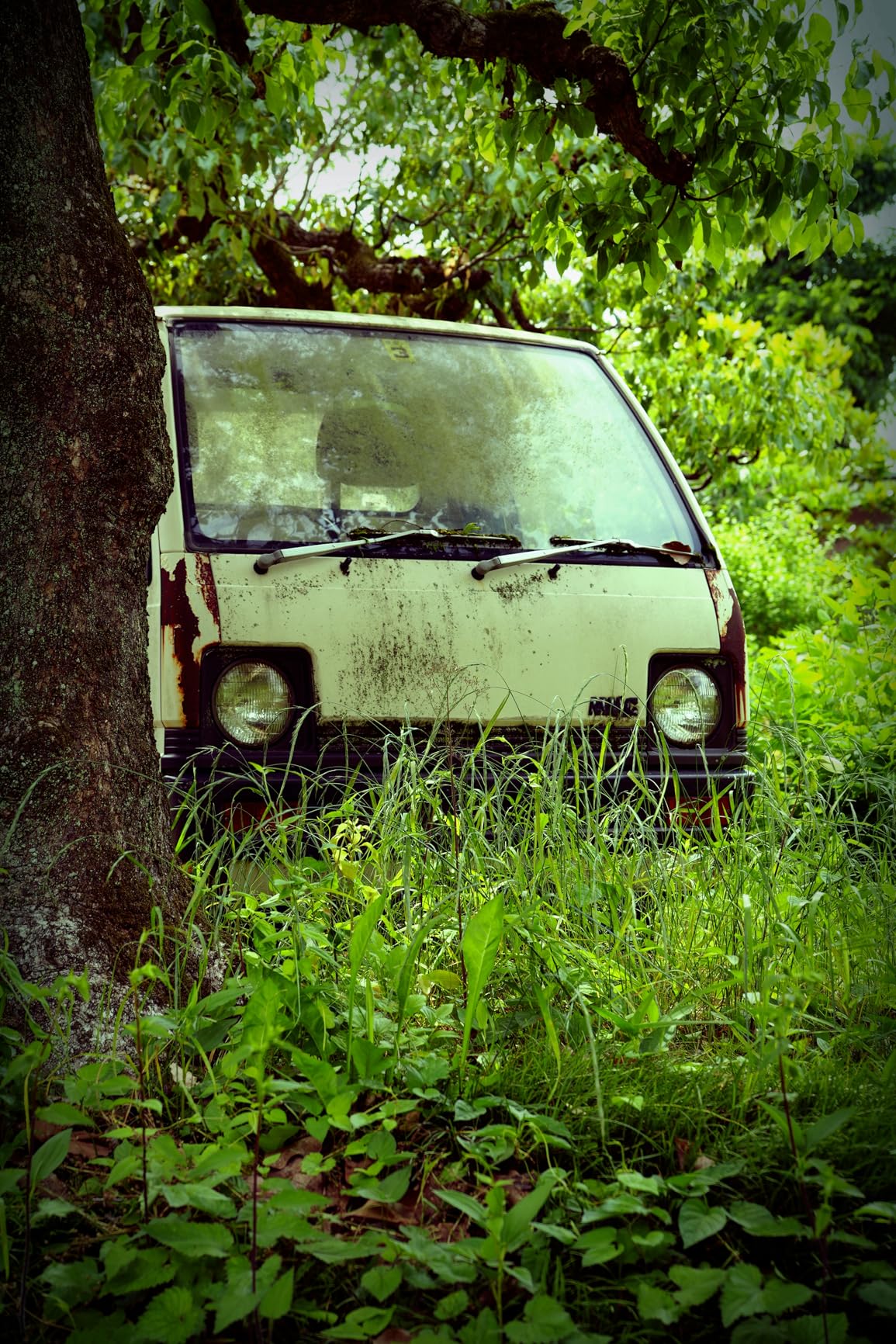 18-50mm F2.8 DC DN Contemporary (for E Mount) - Customer Photo 4