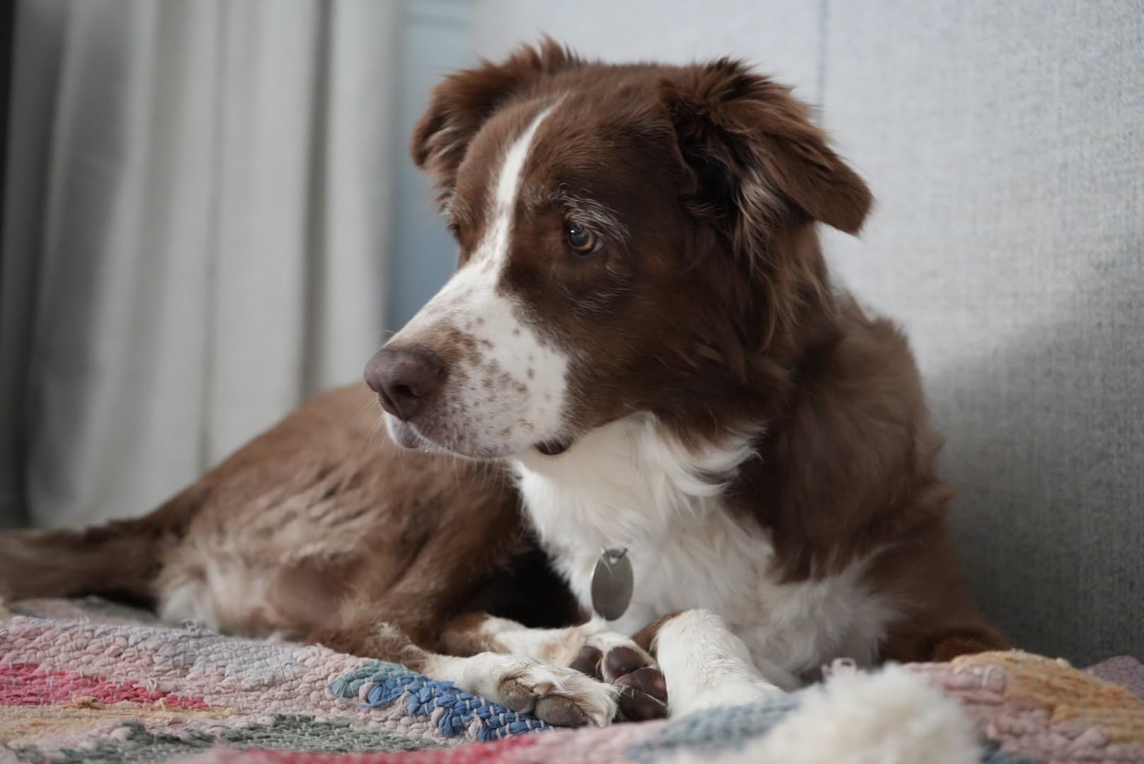 Sony Alpha 7 IV Full-frame Mirrorless Interchangeable Lens Camera - Customer Photo 2