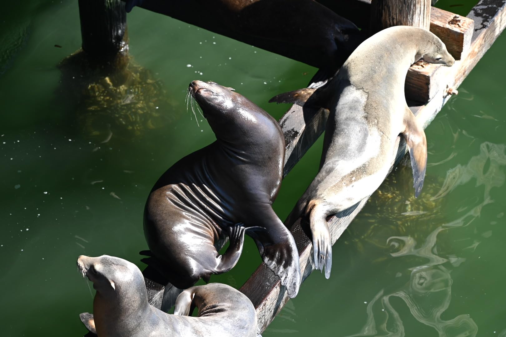 Nikon NIKKOR Z 24-120mm f/4 S | Premium constant aperture all-in-one zoom lens for Z series mirrorless cameras (wide angle to telephoto) - Customer Photo 1