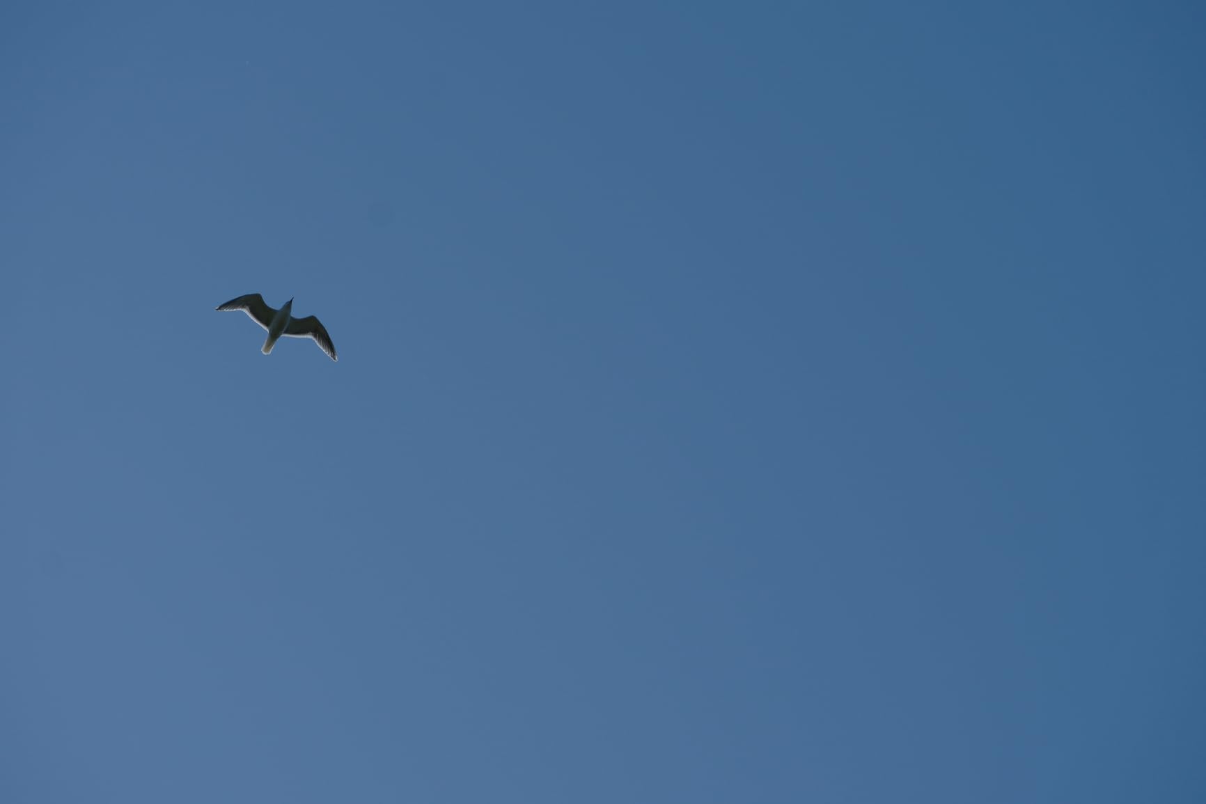 Tamron 18-300mm F/3.5-6.3 Di III-A VC VXD for Fujifilm X-Mount (Tamron 6 Year Limited USA Warranty - Customer Photo 2